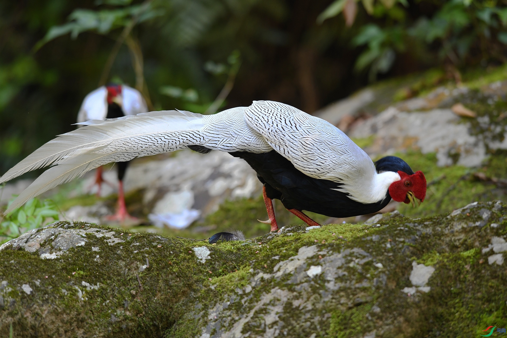 DSC_2059.jpg