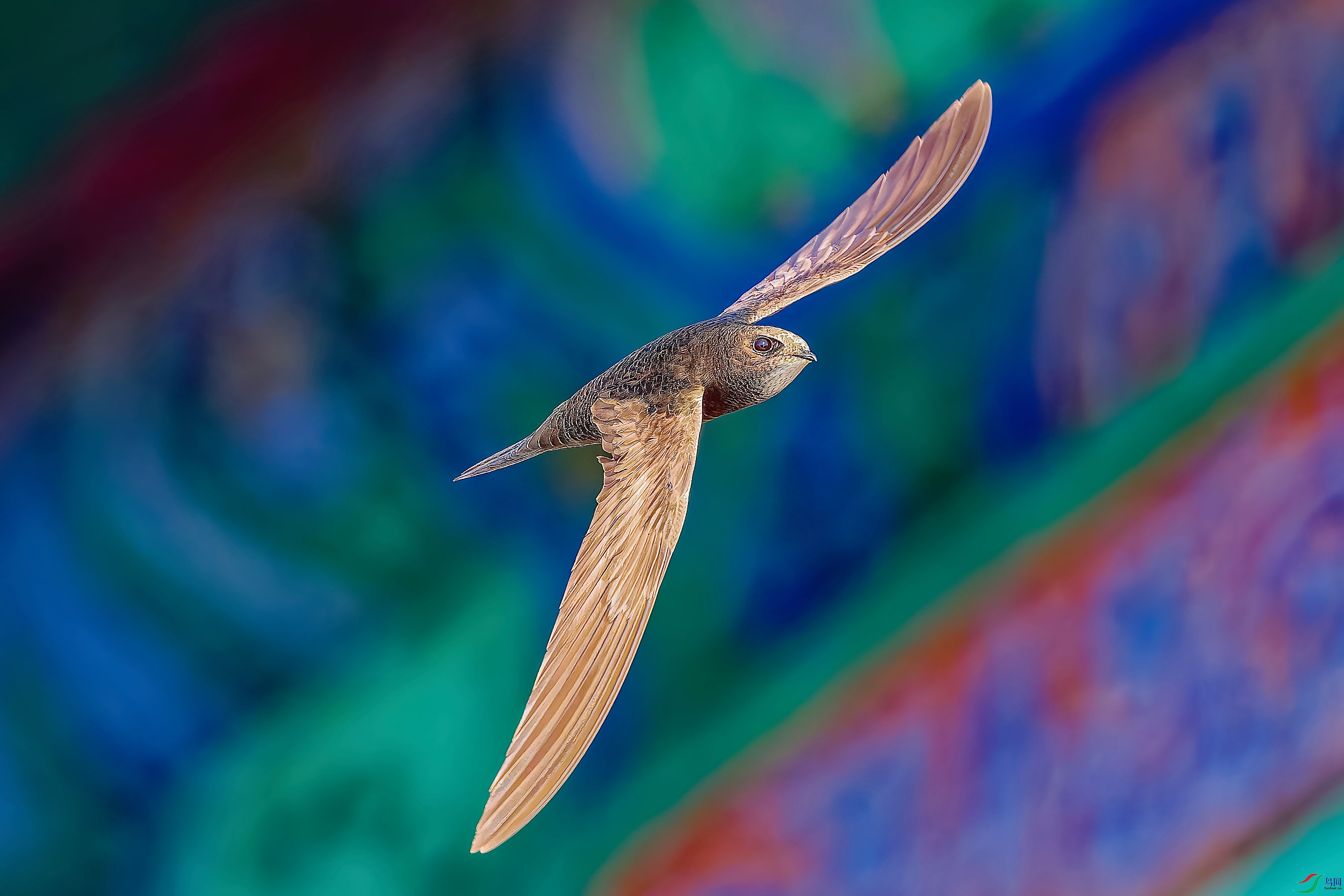 DSC_3716_DXO-1_DXO.jpg