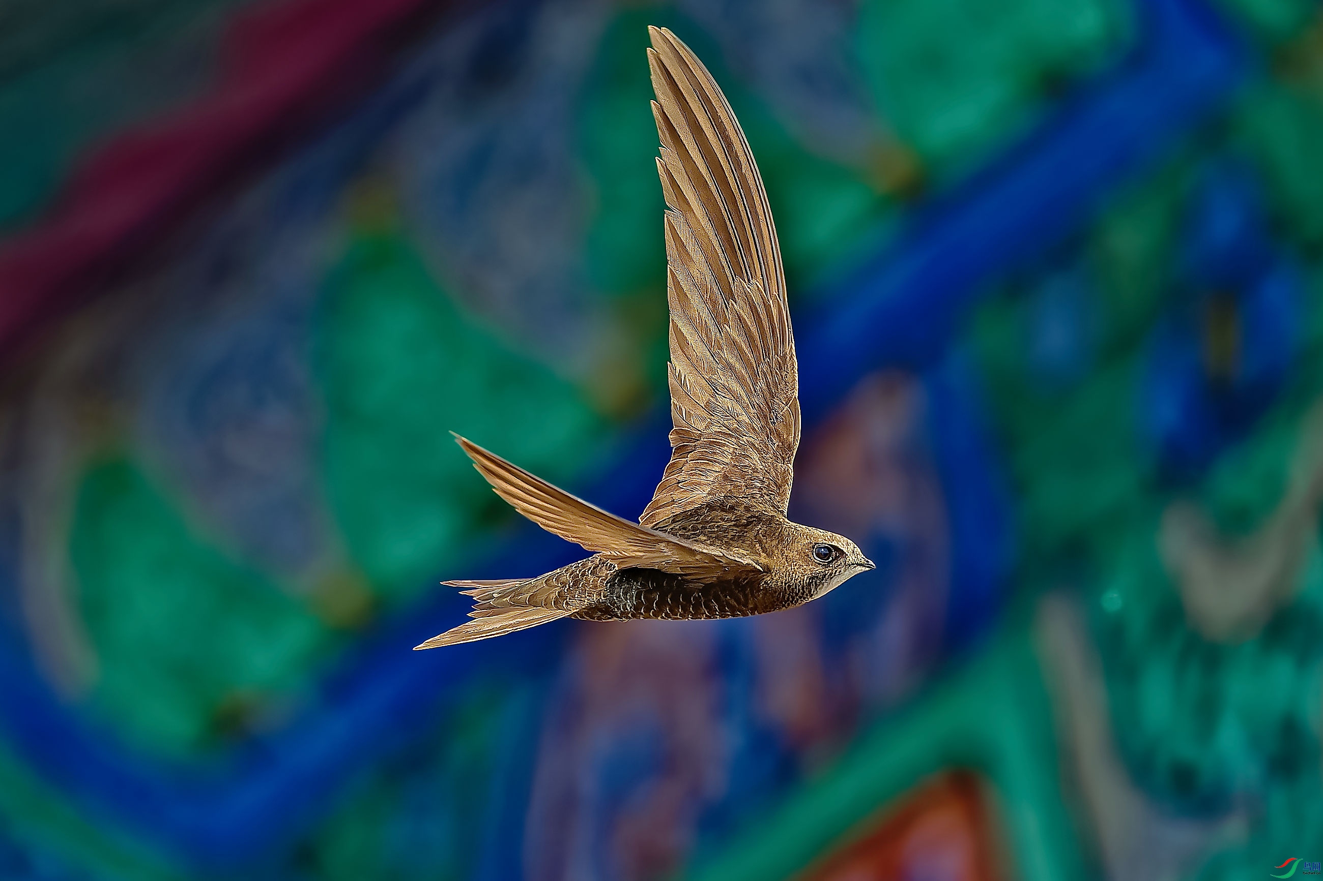 DSC_3556_DXO-1_DXO.jpg