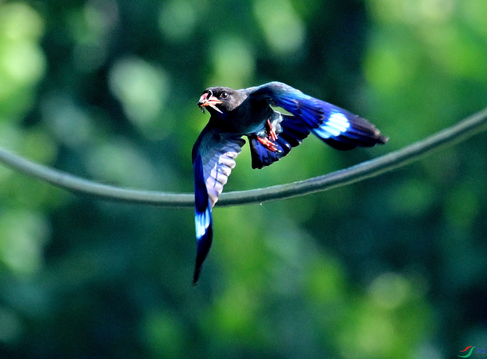 DSC_4976.JPG