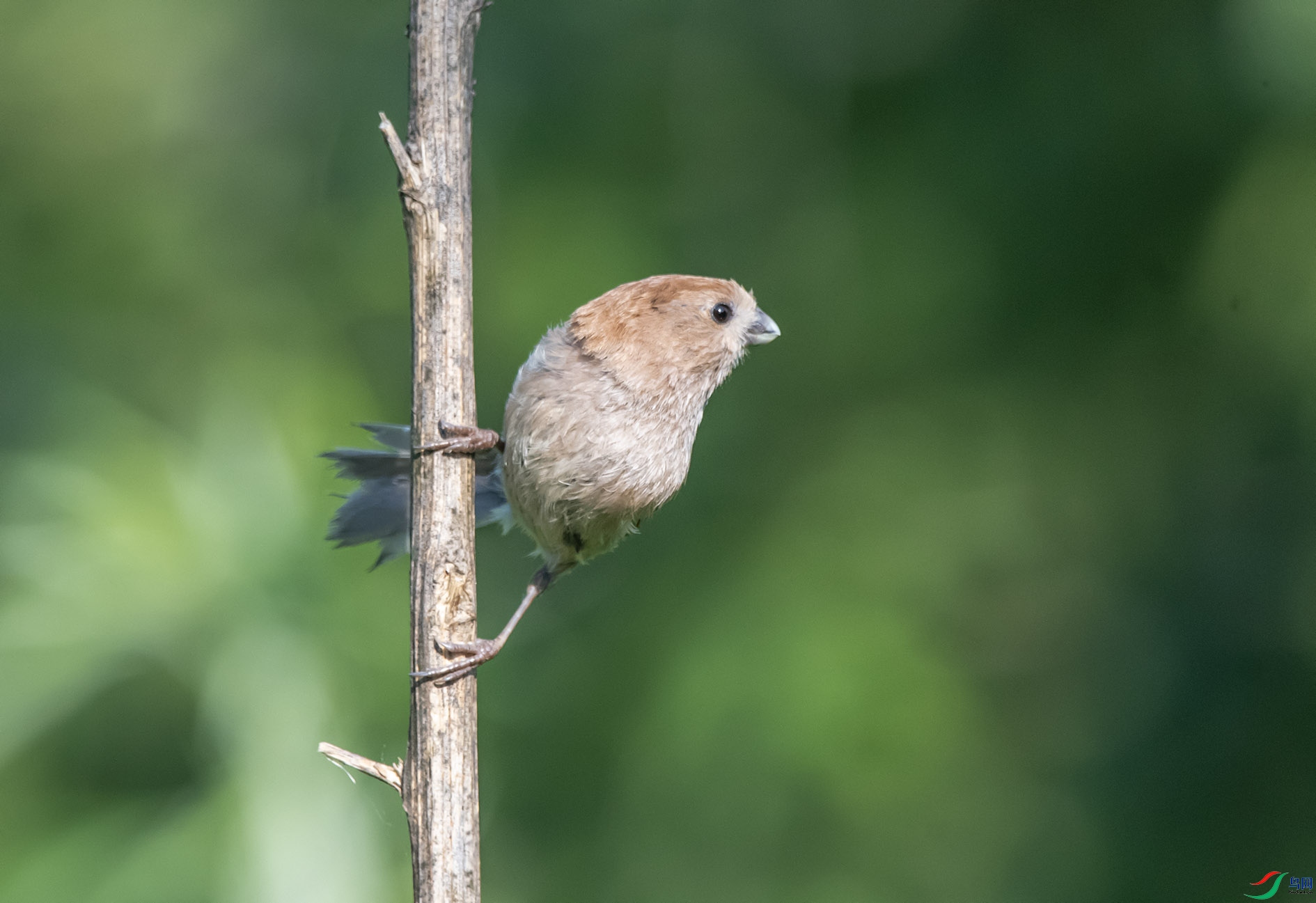 DSC_3958_��ͼ�� ����.jpg