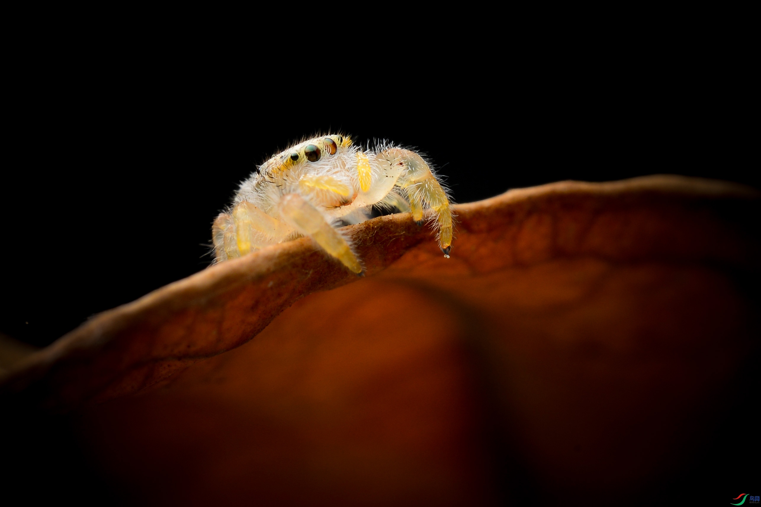 DSC_4309.JPG
