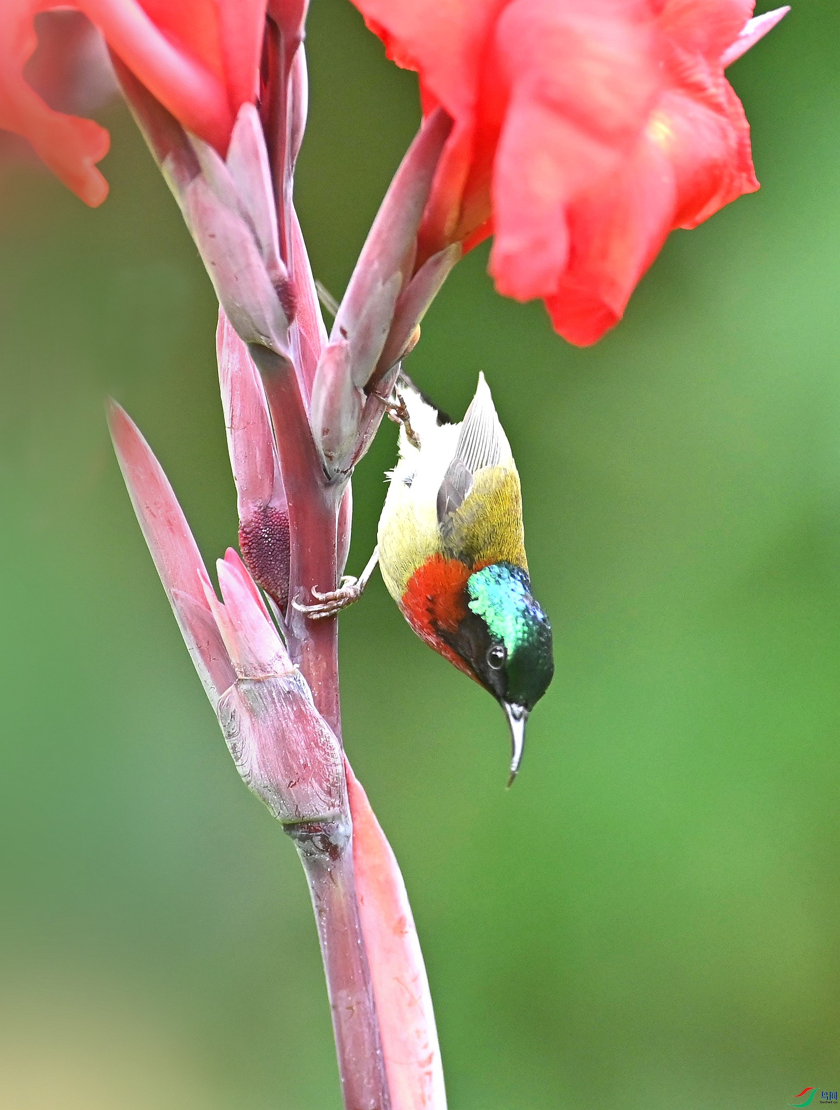 DSC_5389_����_����.jpg