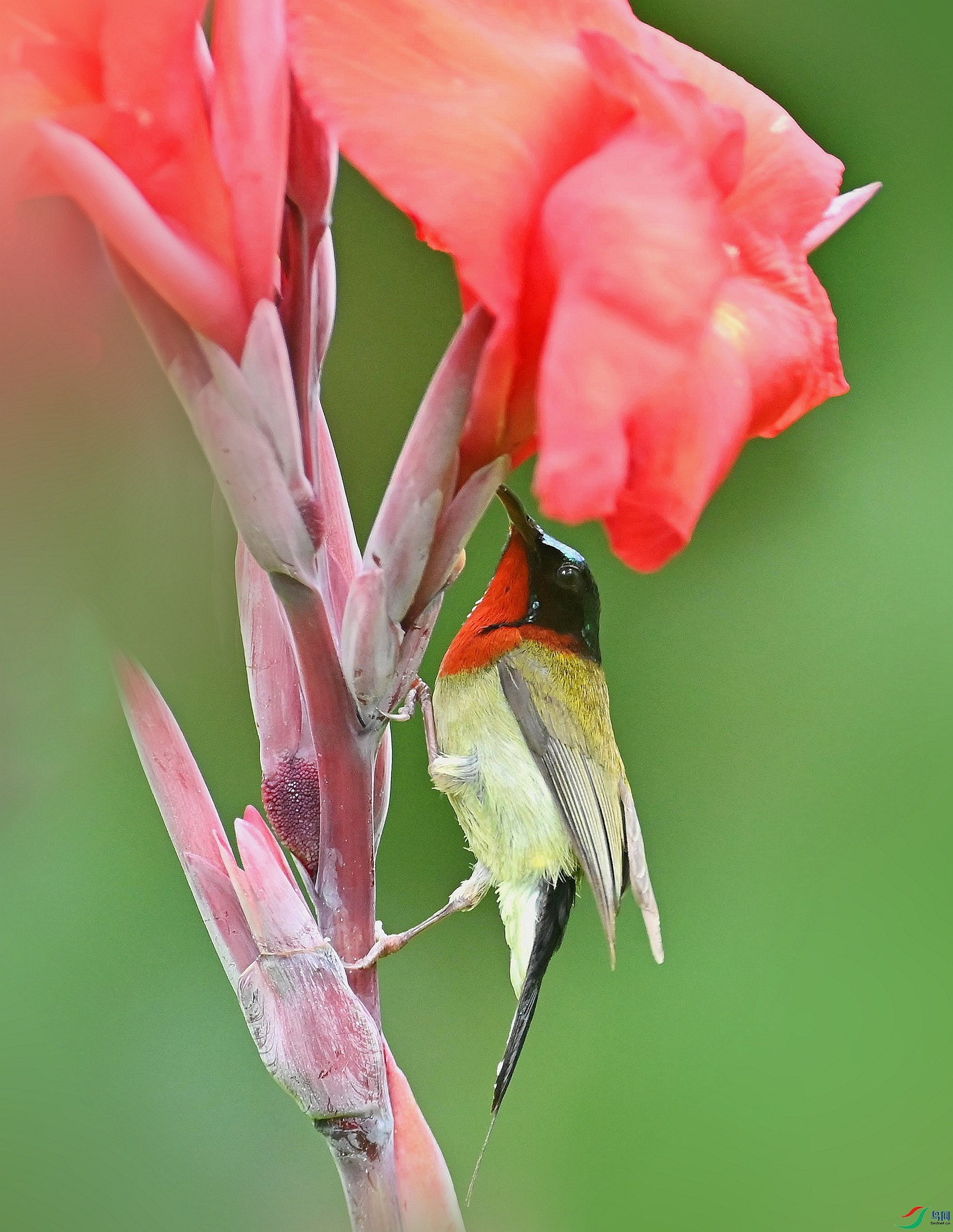 DSC_5410_����_����.jpg