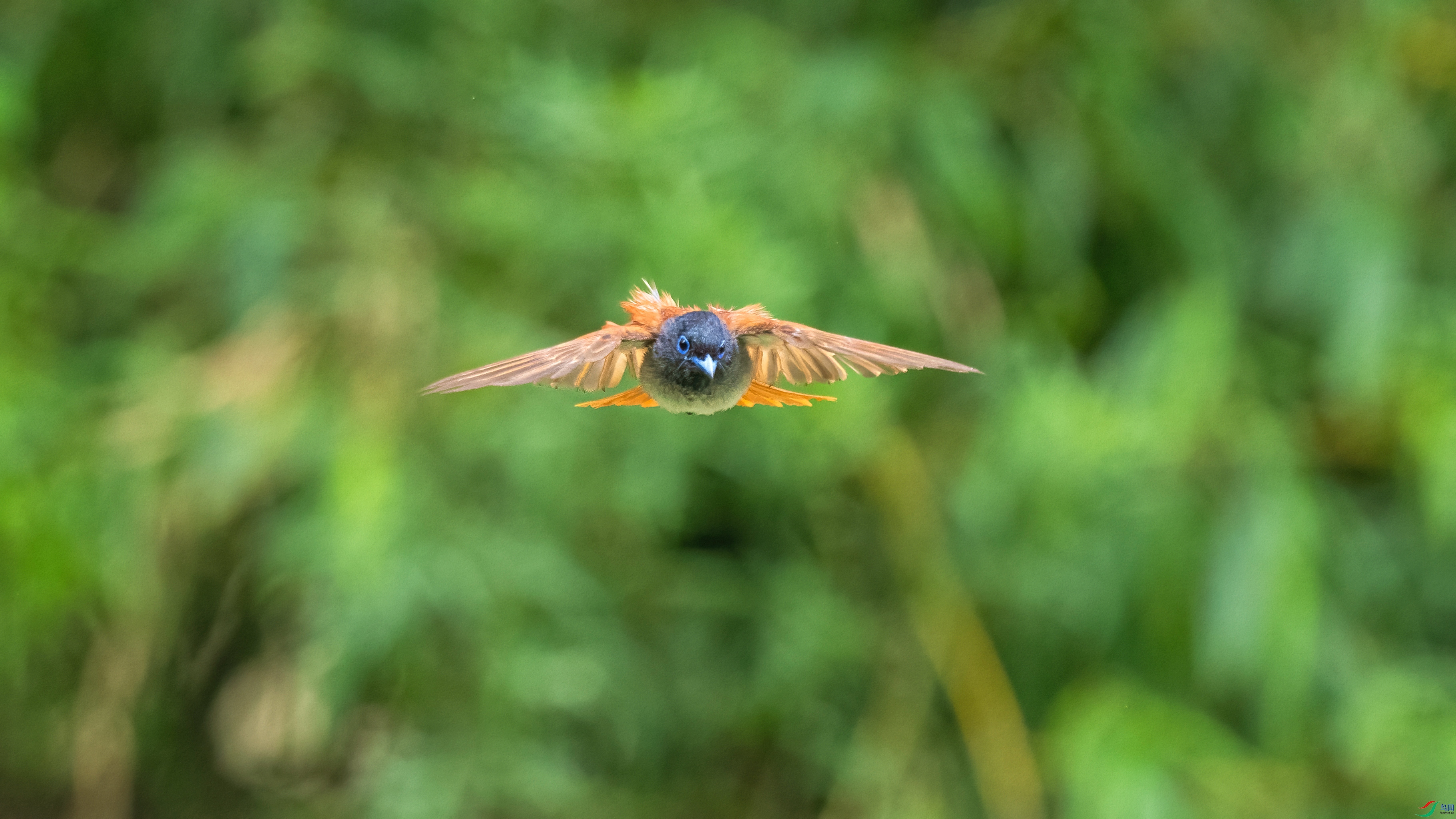 _DSC0590.jpg