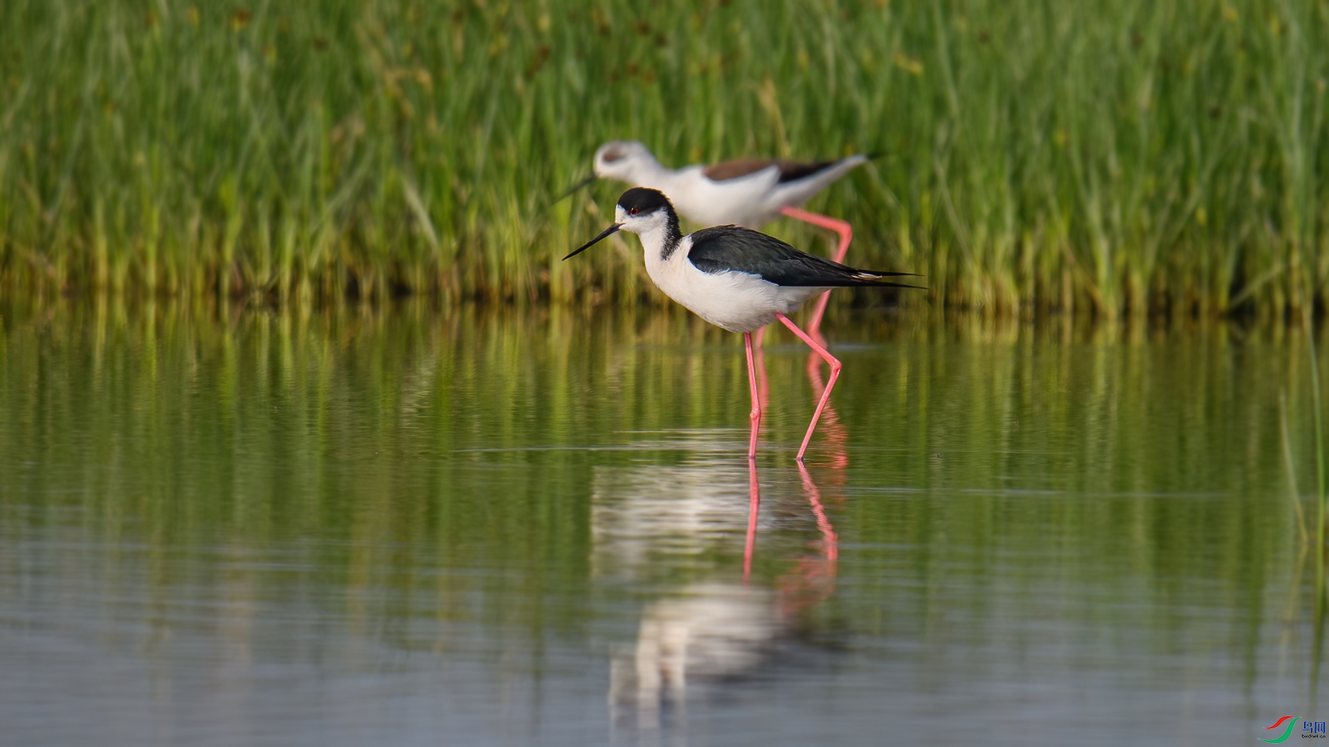 DSC_1465-20250711��.jpg