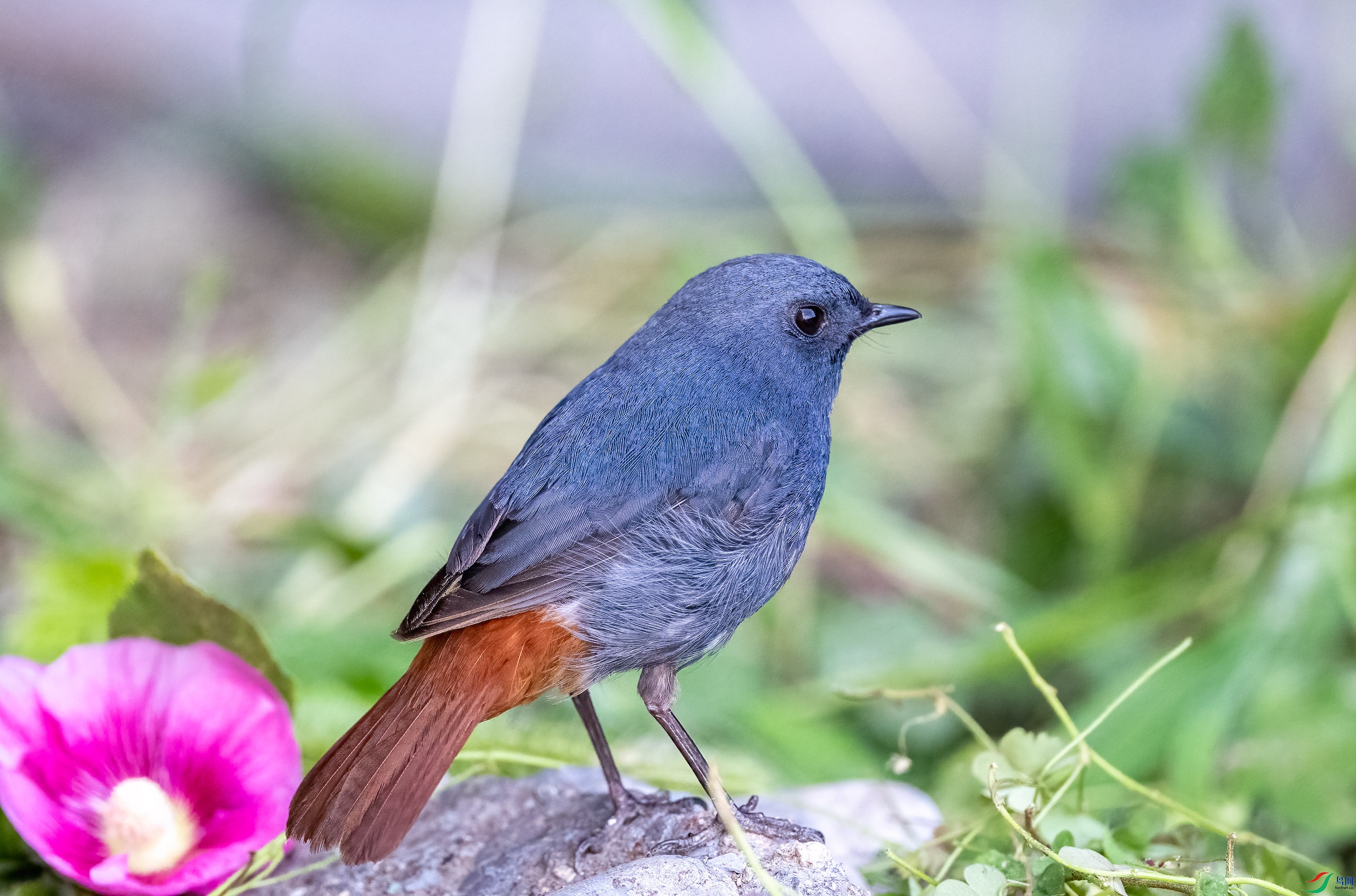 _DSC0127-.jpg