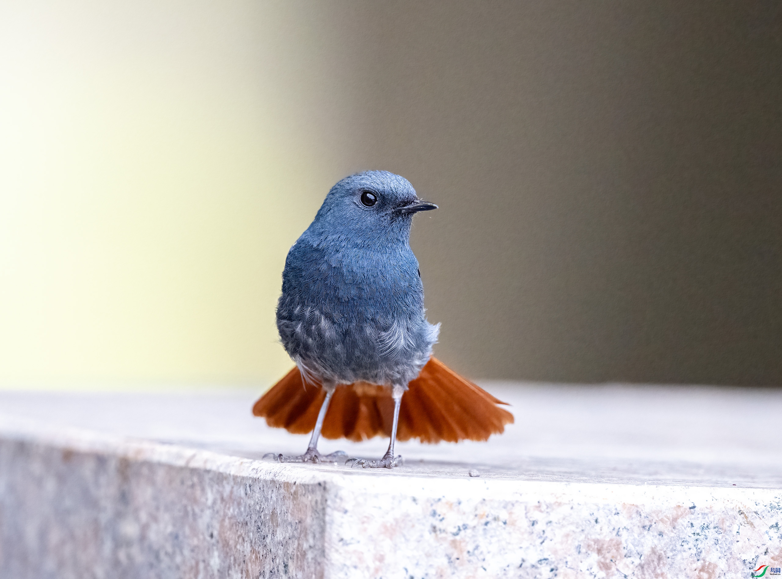 _DSC9527-.jpg
