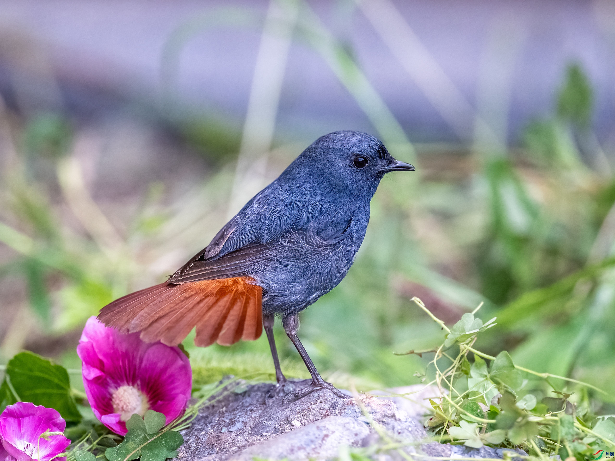 _DSC9765-.jpg