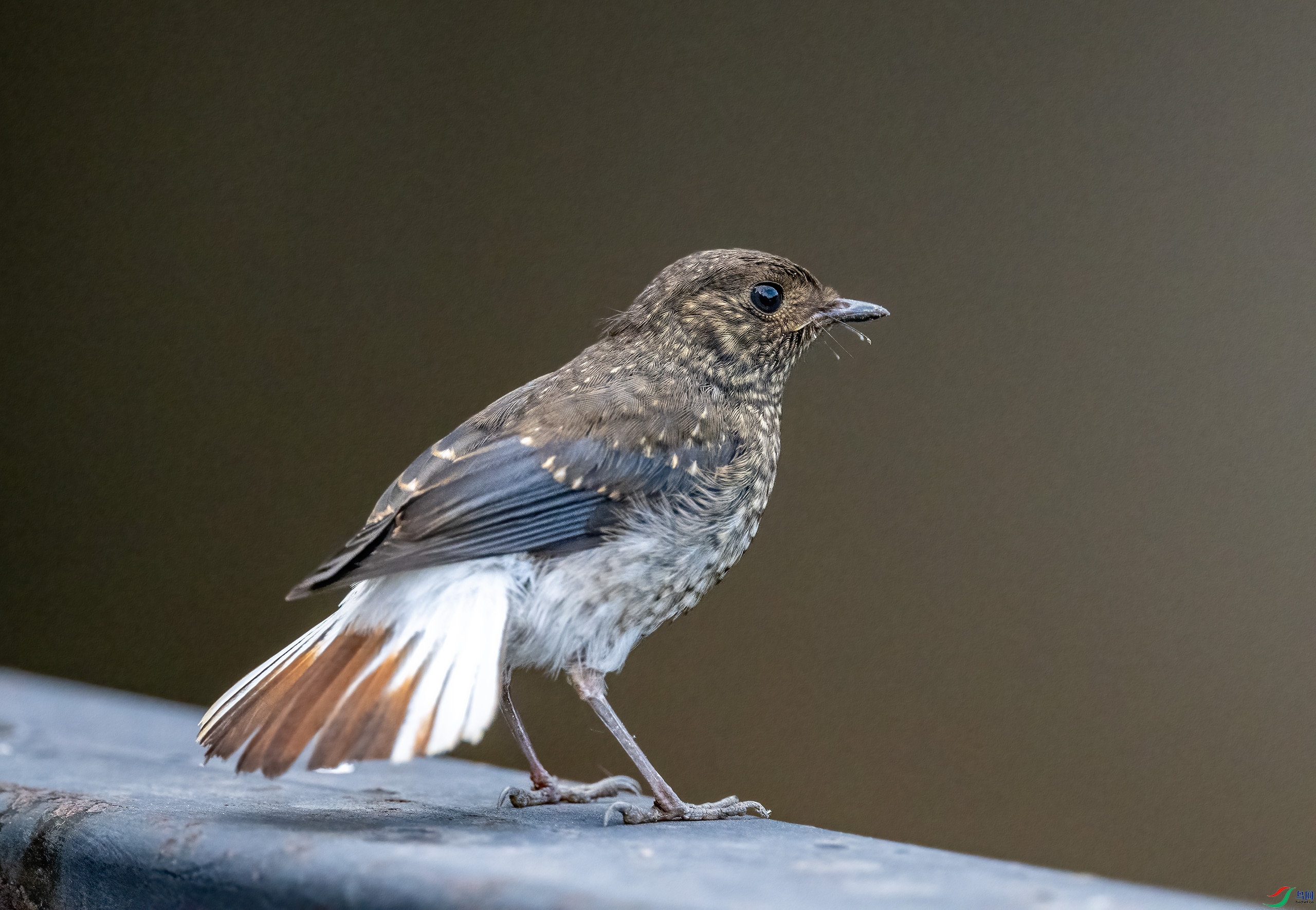 _DSC9823-.jpg