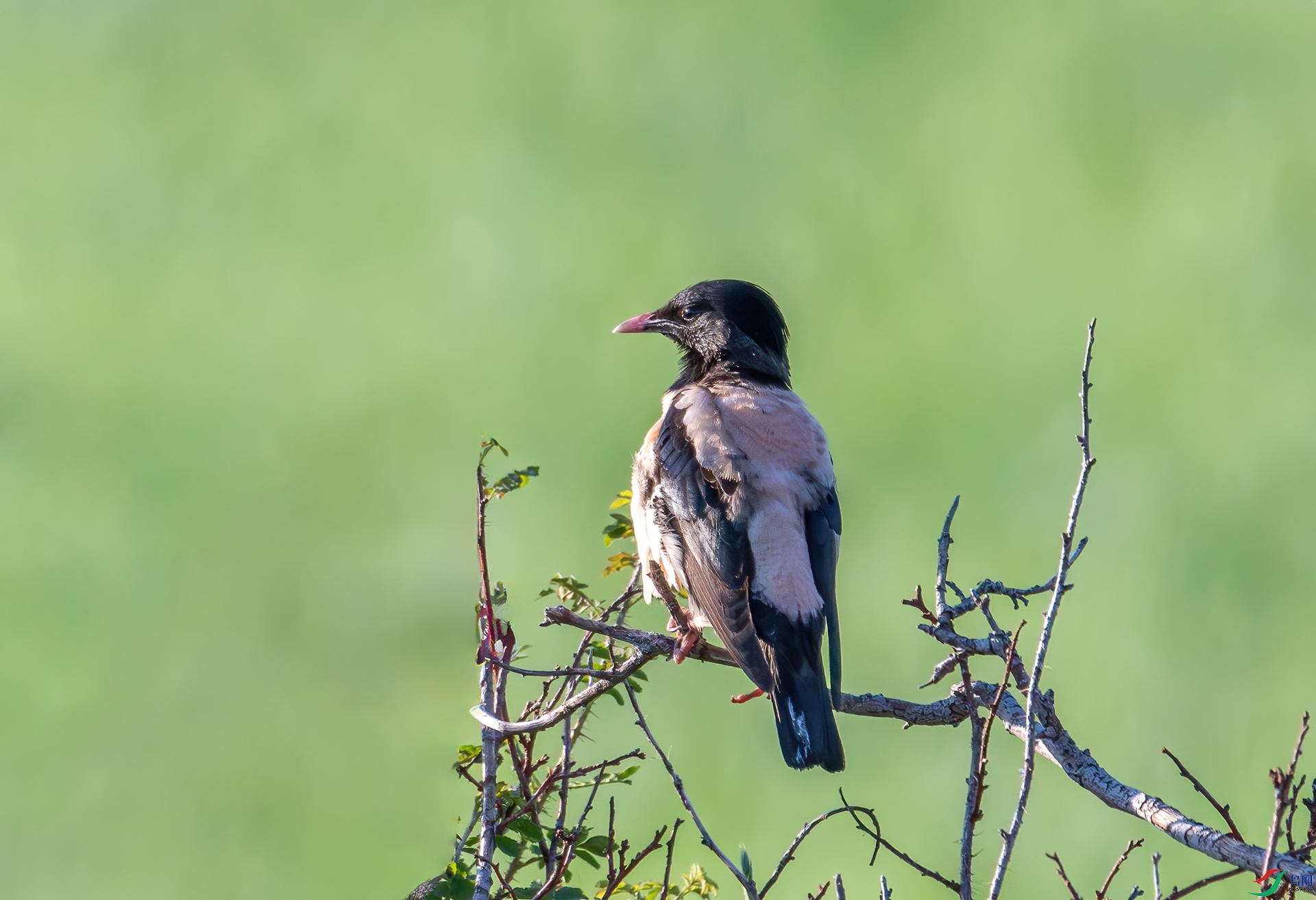DSC_5136-1.jpg