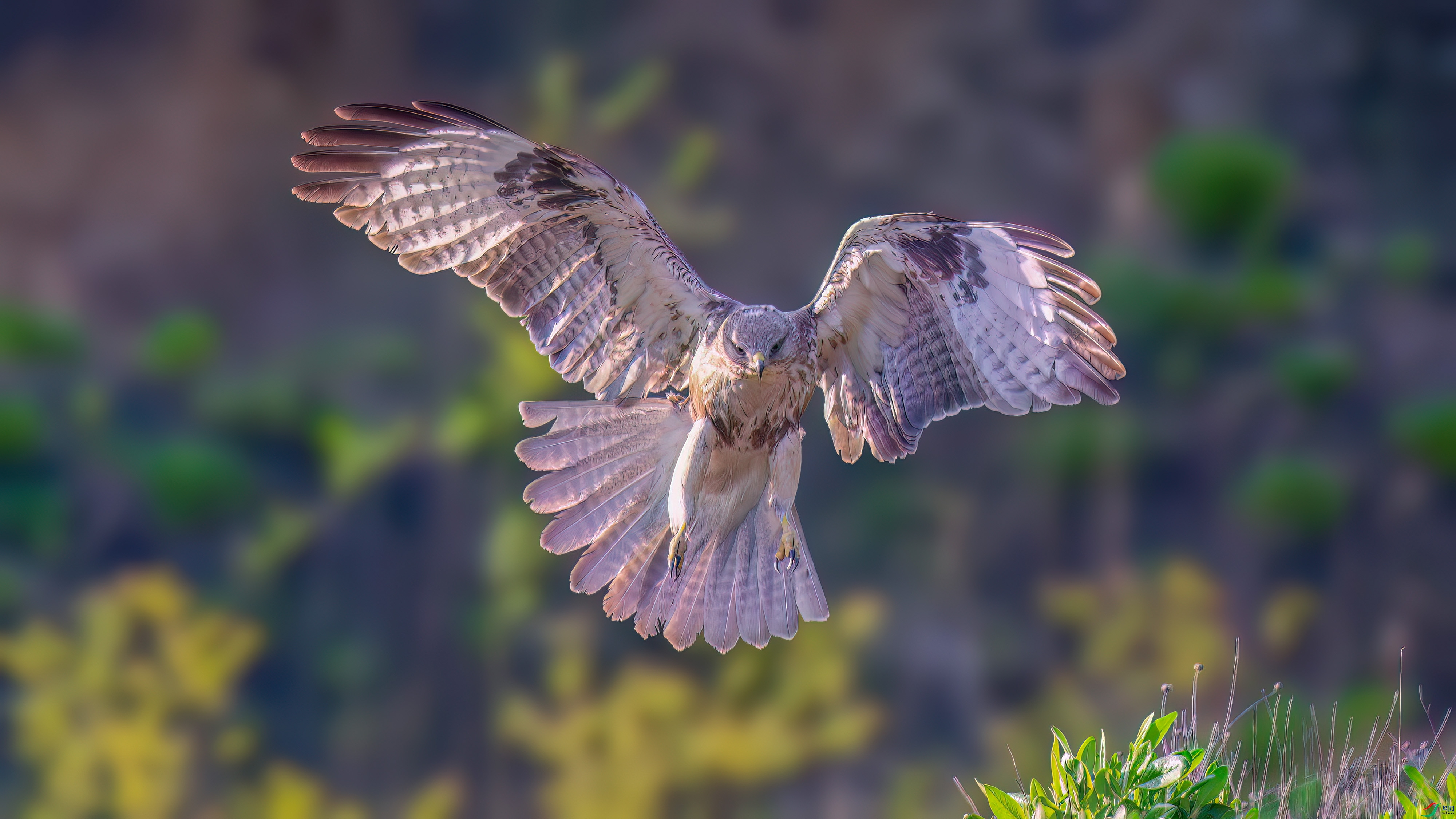 DSC_5344.jpg