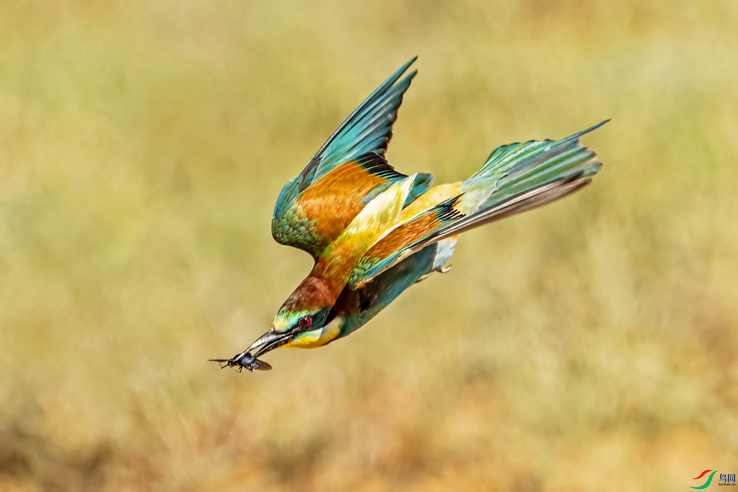 DSC_7123.jpg