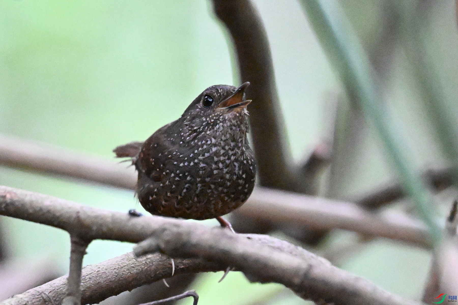 DSC_9344.JPG