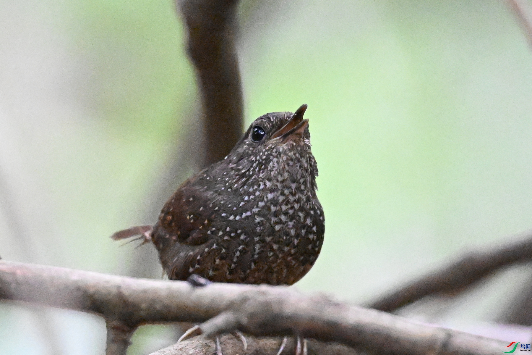 DSC_9357.JPG