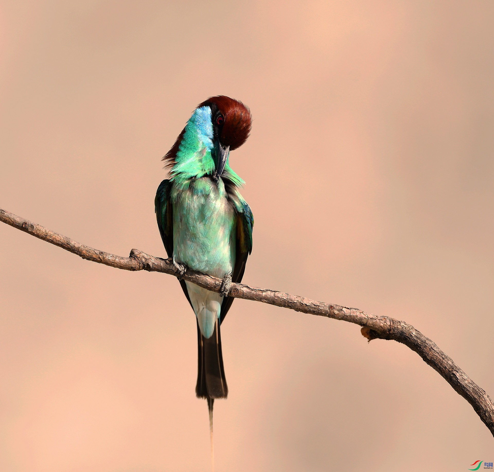 DSC_5847.jpg
