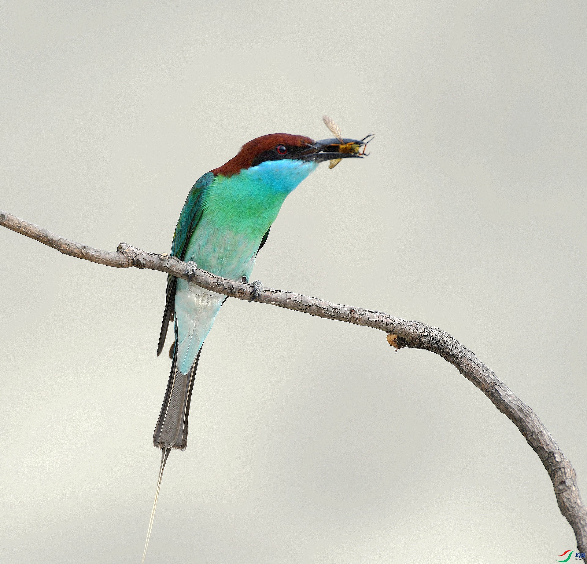 DSC_5655.jpg