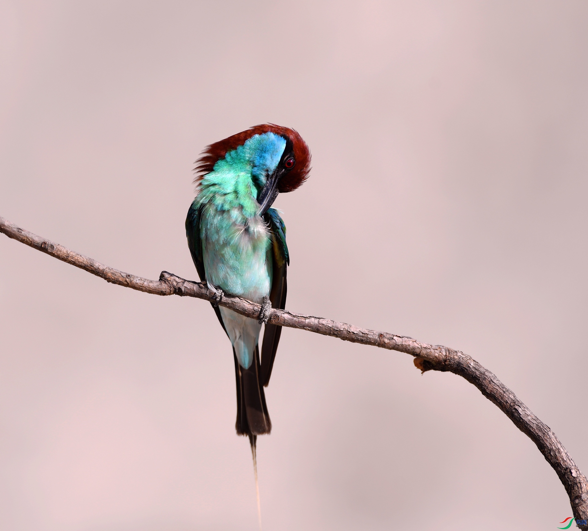 DSC_5849.jpg