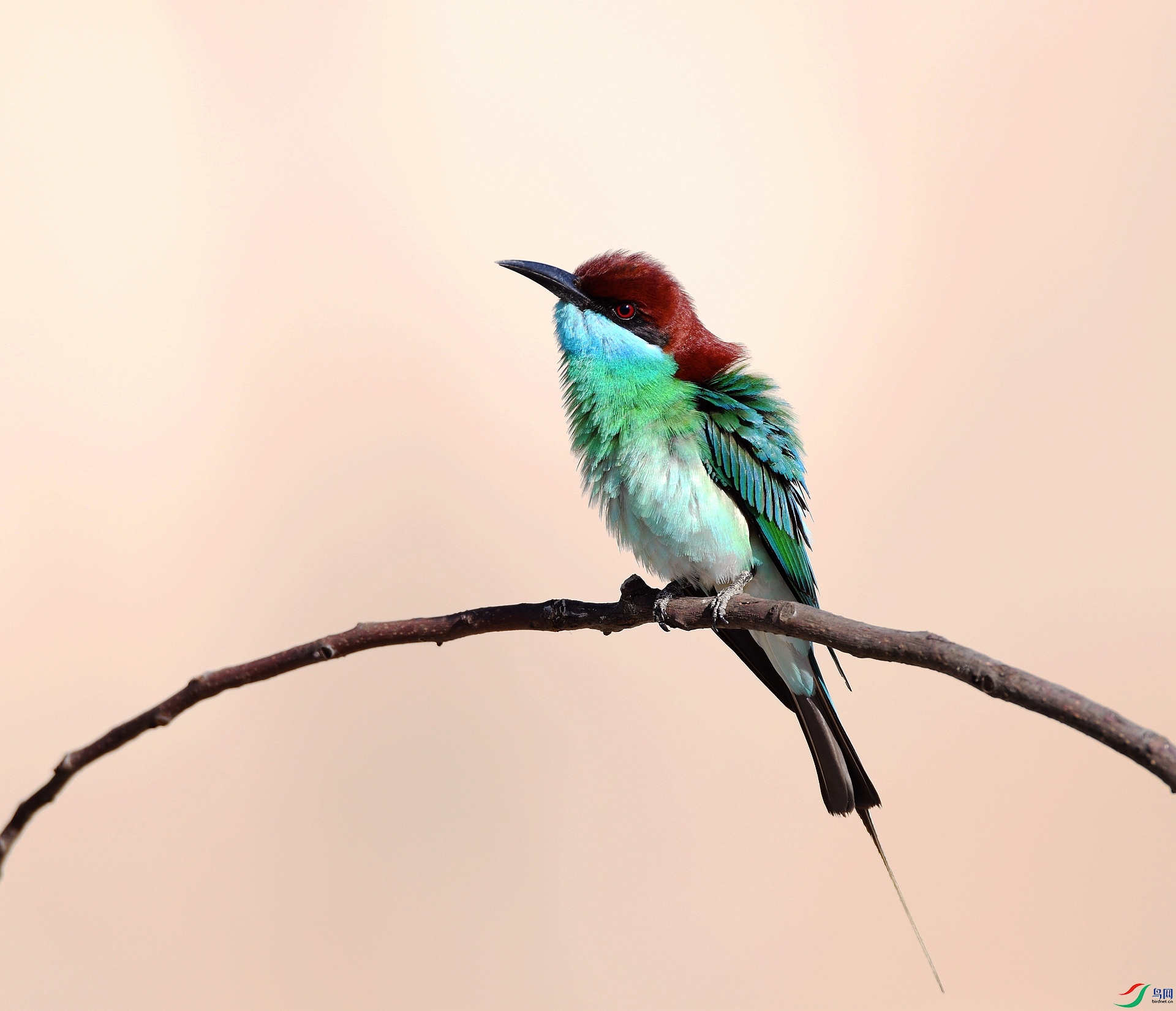 DSC_9422.jpg