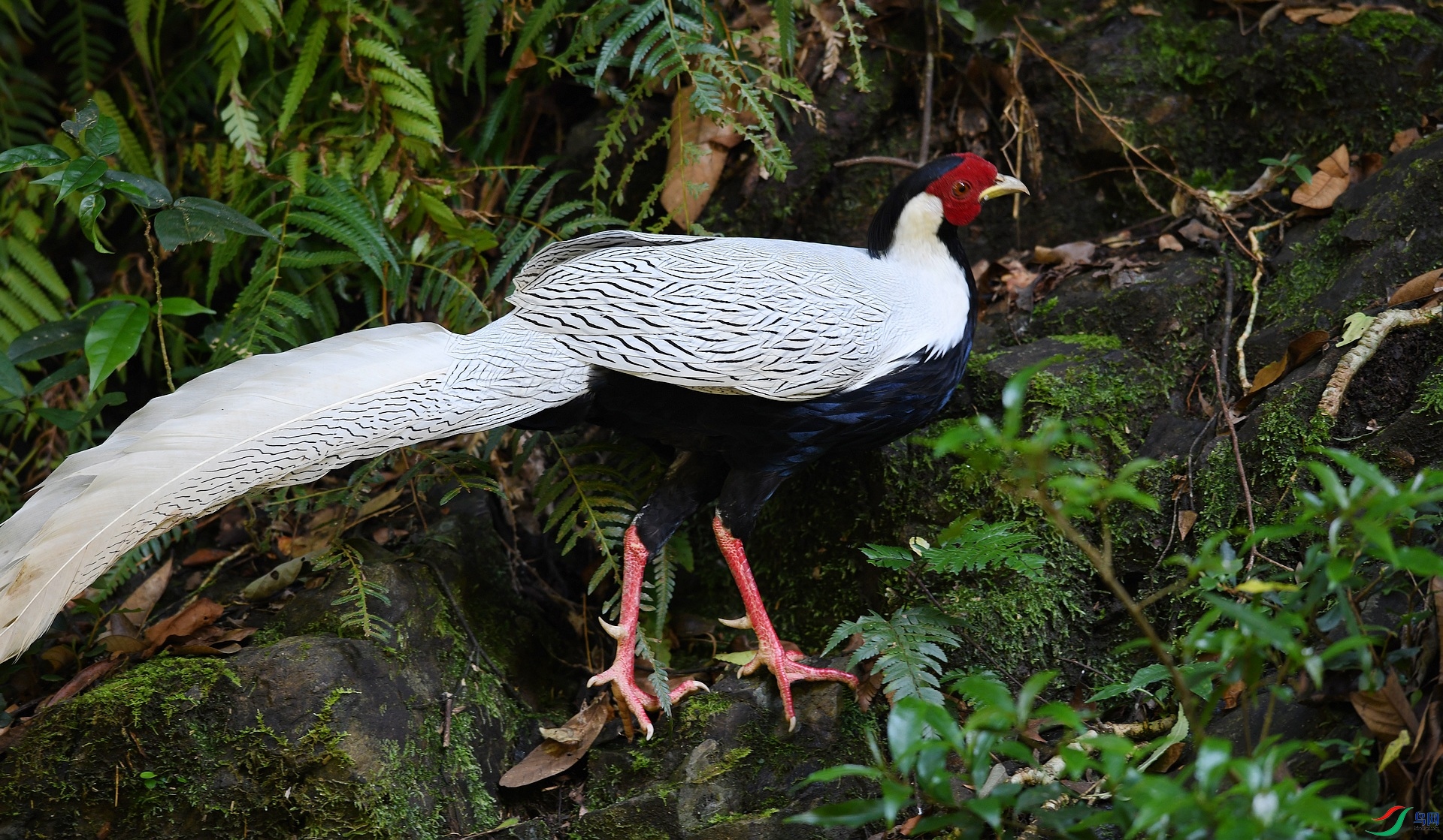 DSC_2200.jpg