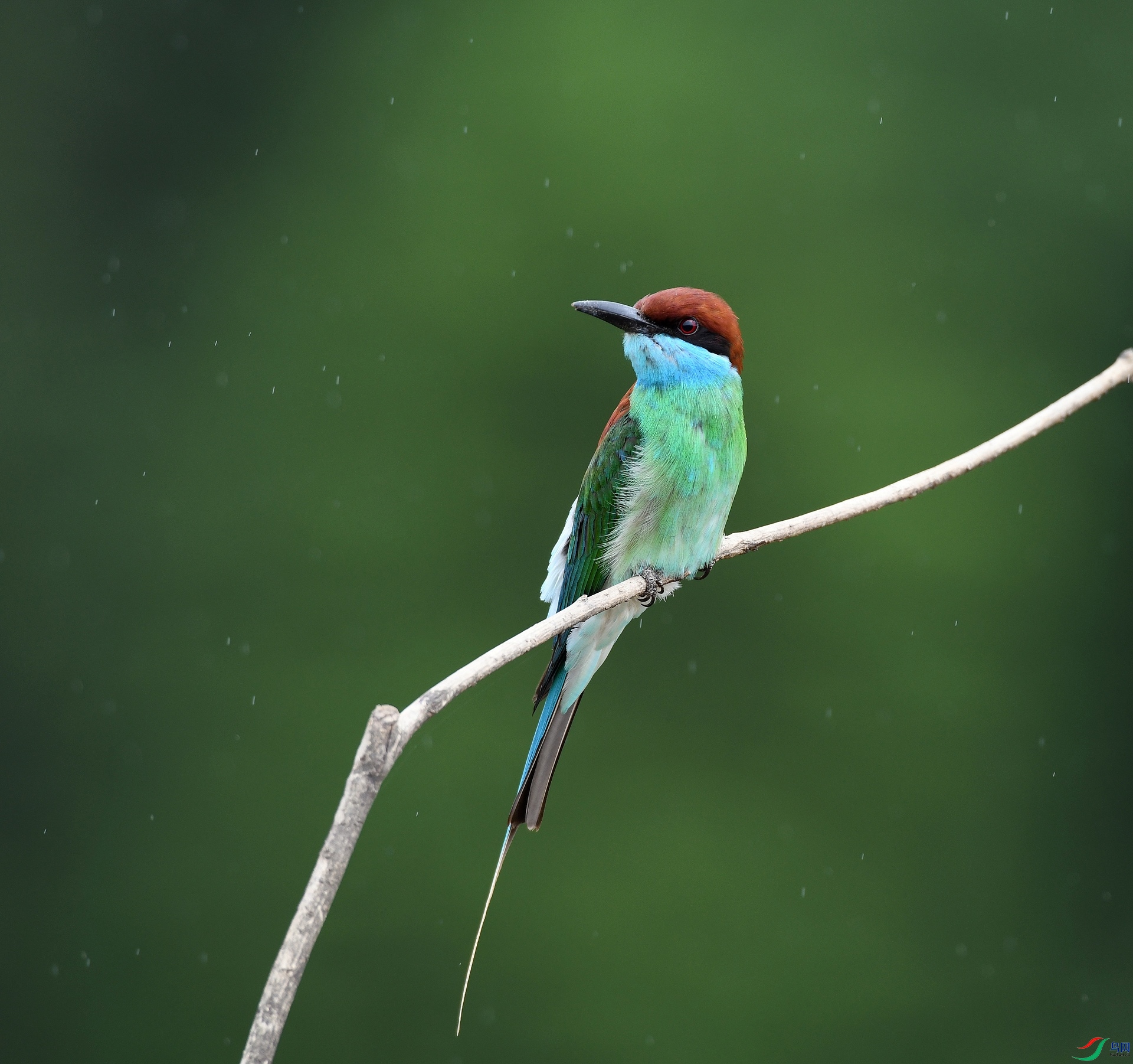 DSC_7503.jpg