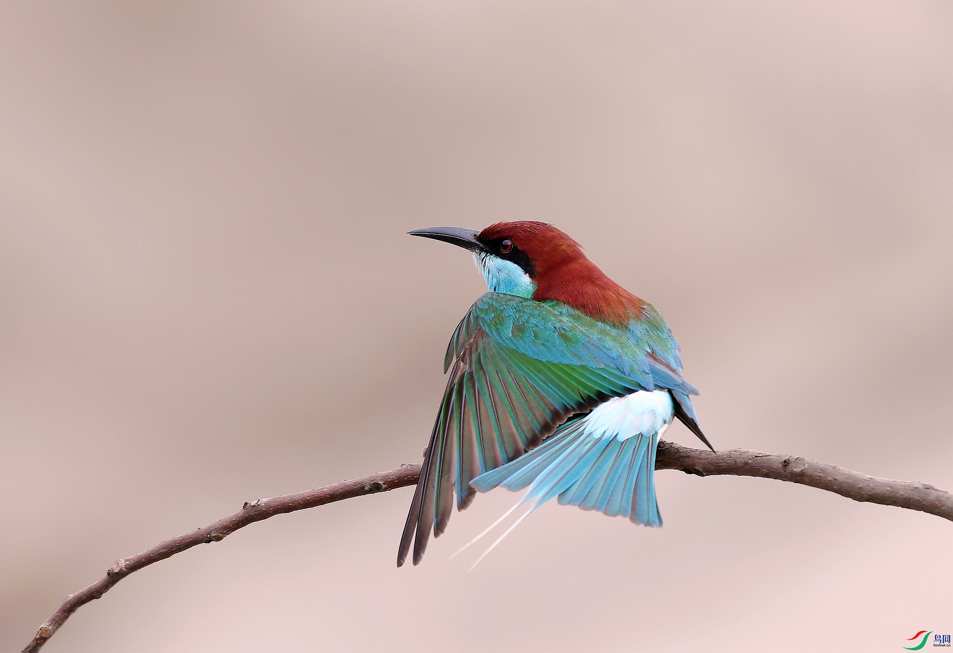 DSC_7098.jpg