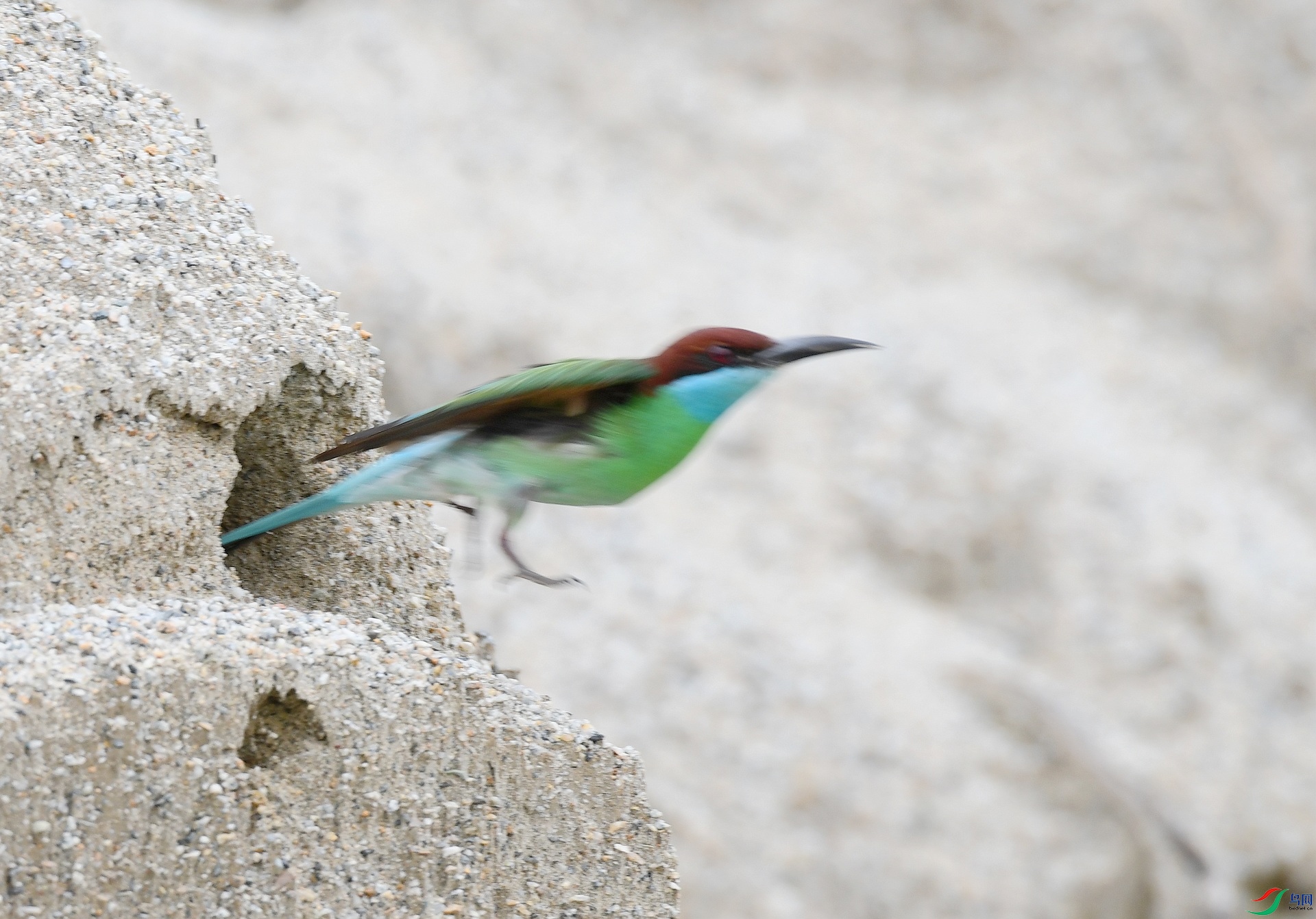 DSC_6802.jpg