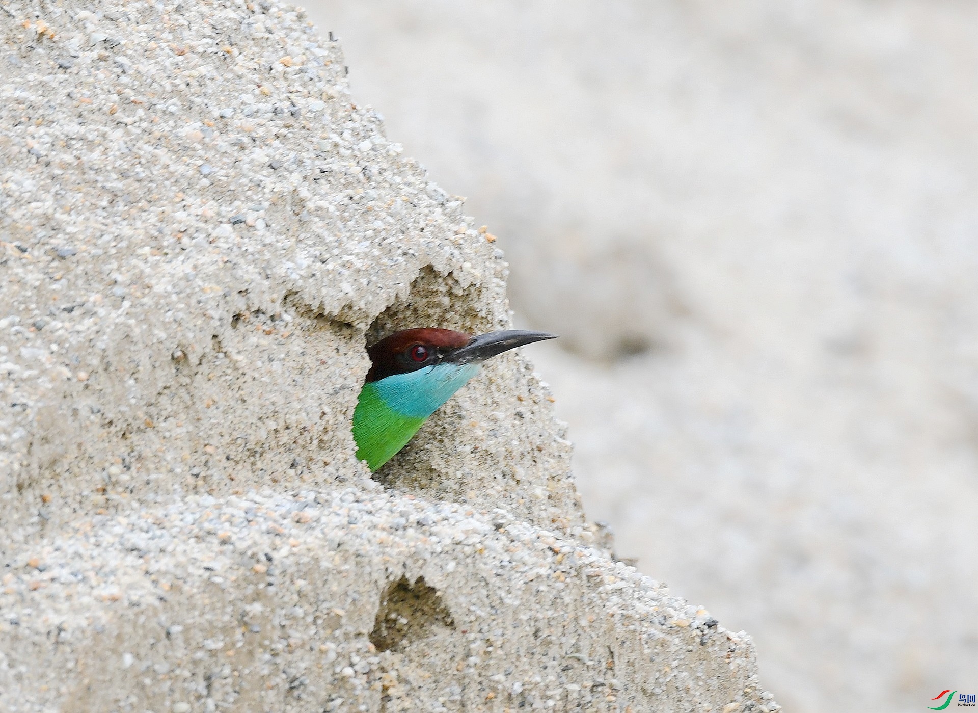 DSC_6800.jpg
