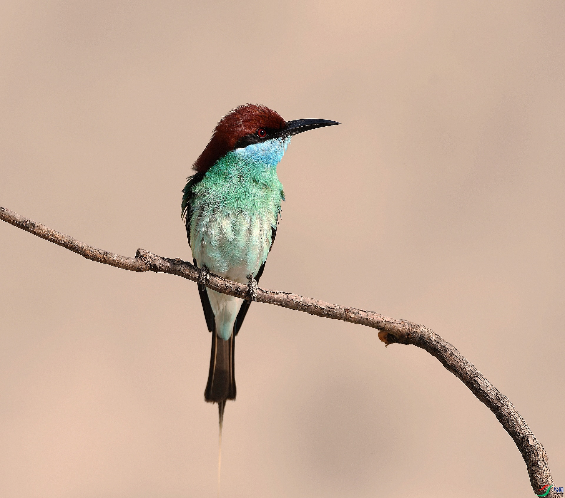 DSC_5796.jpg