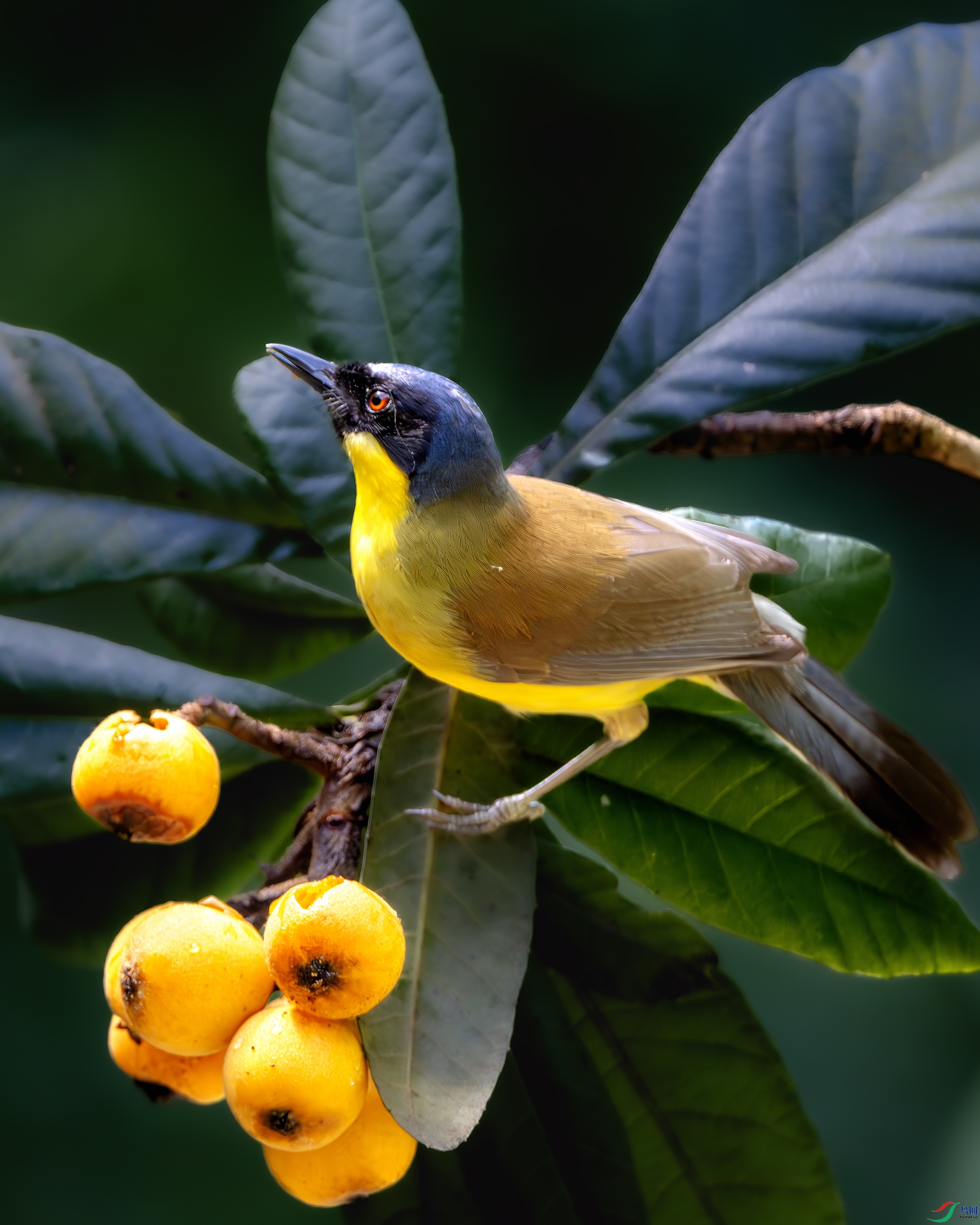 DSC_1580-����ǿ-NR ����.jpg