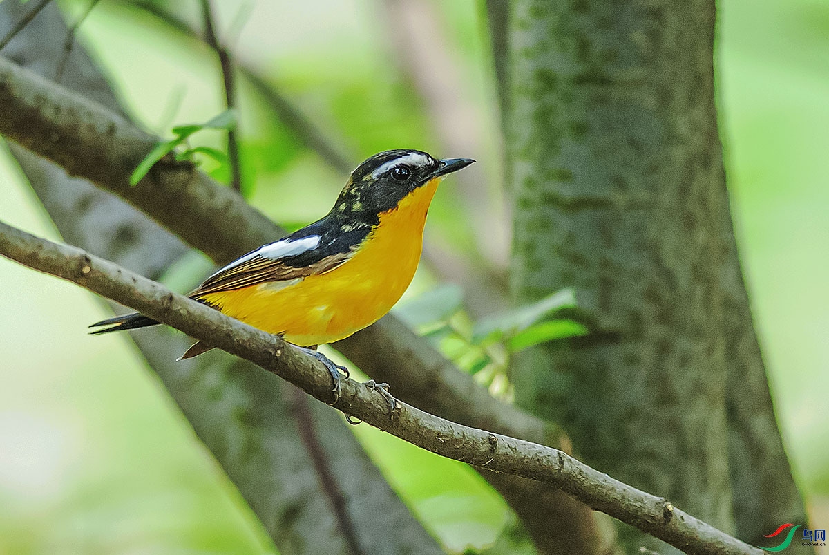 DSC_2596.jpg