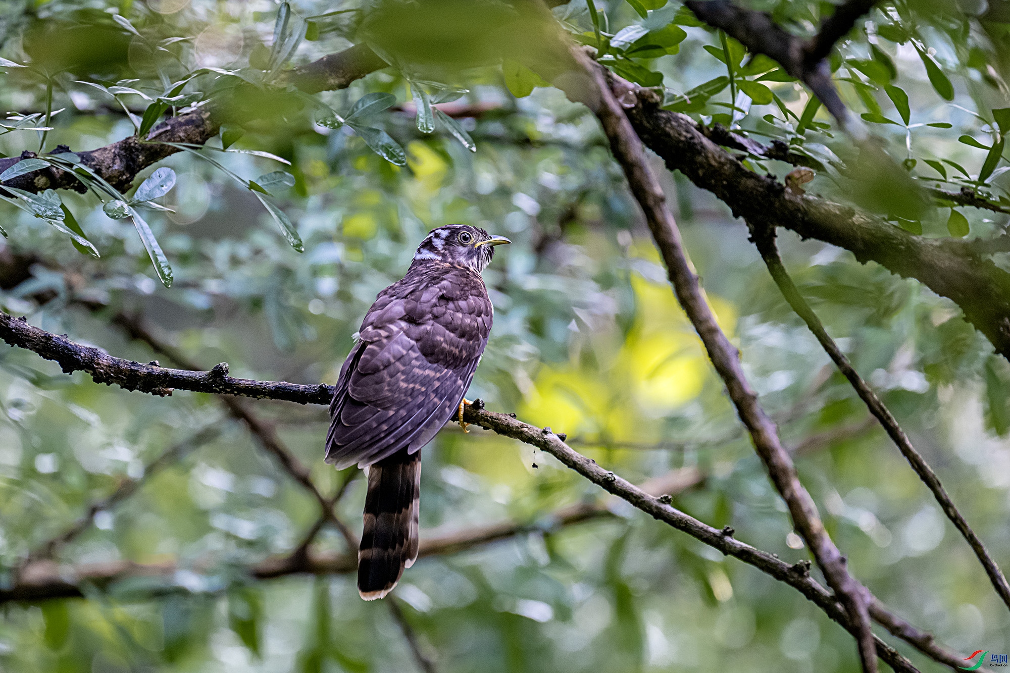 DSC_6305.jpg
