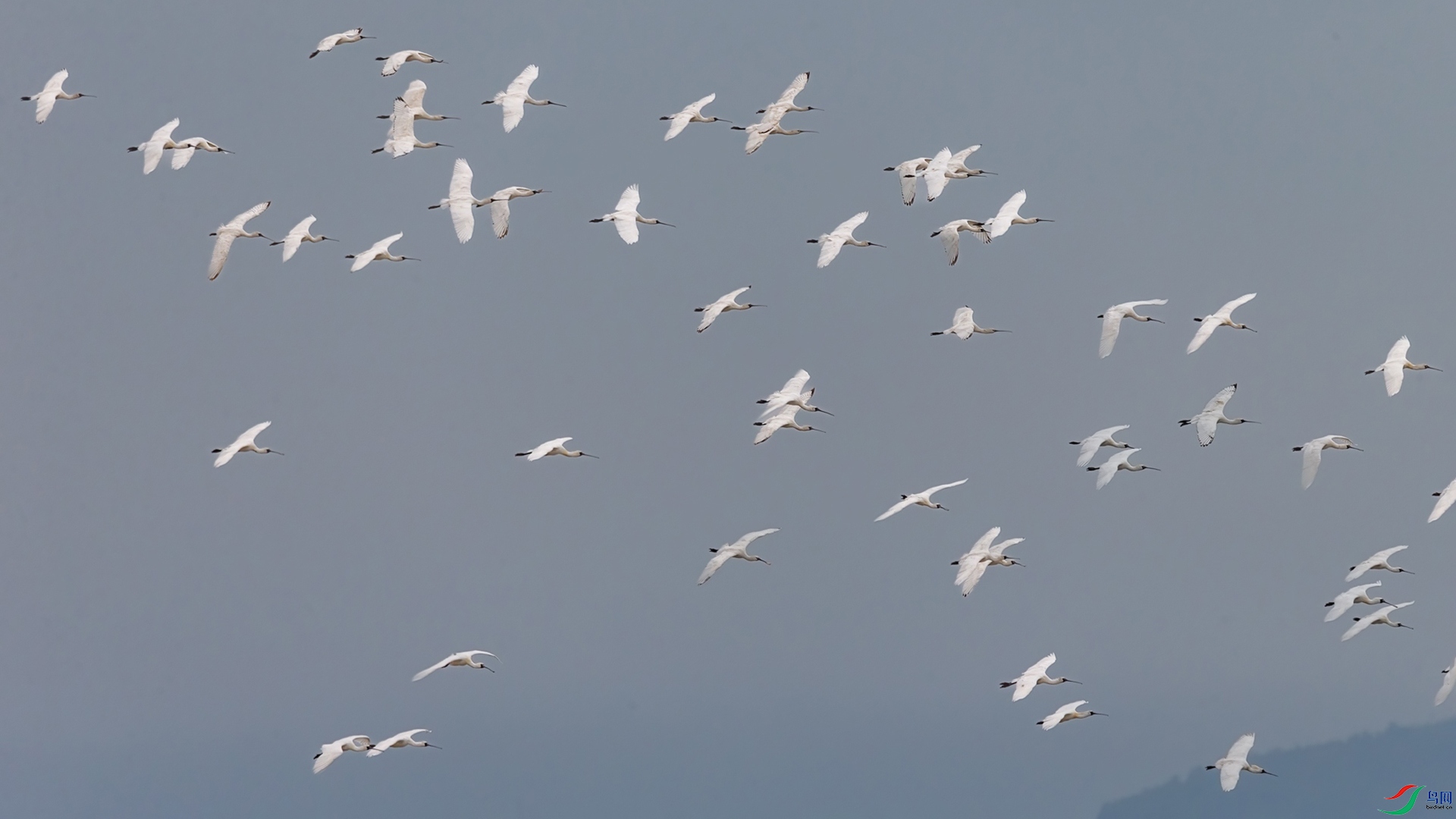 56.jpg