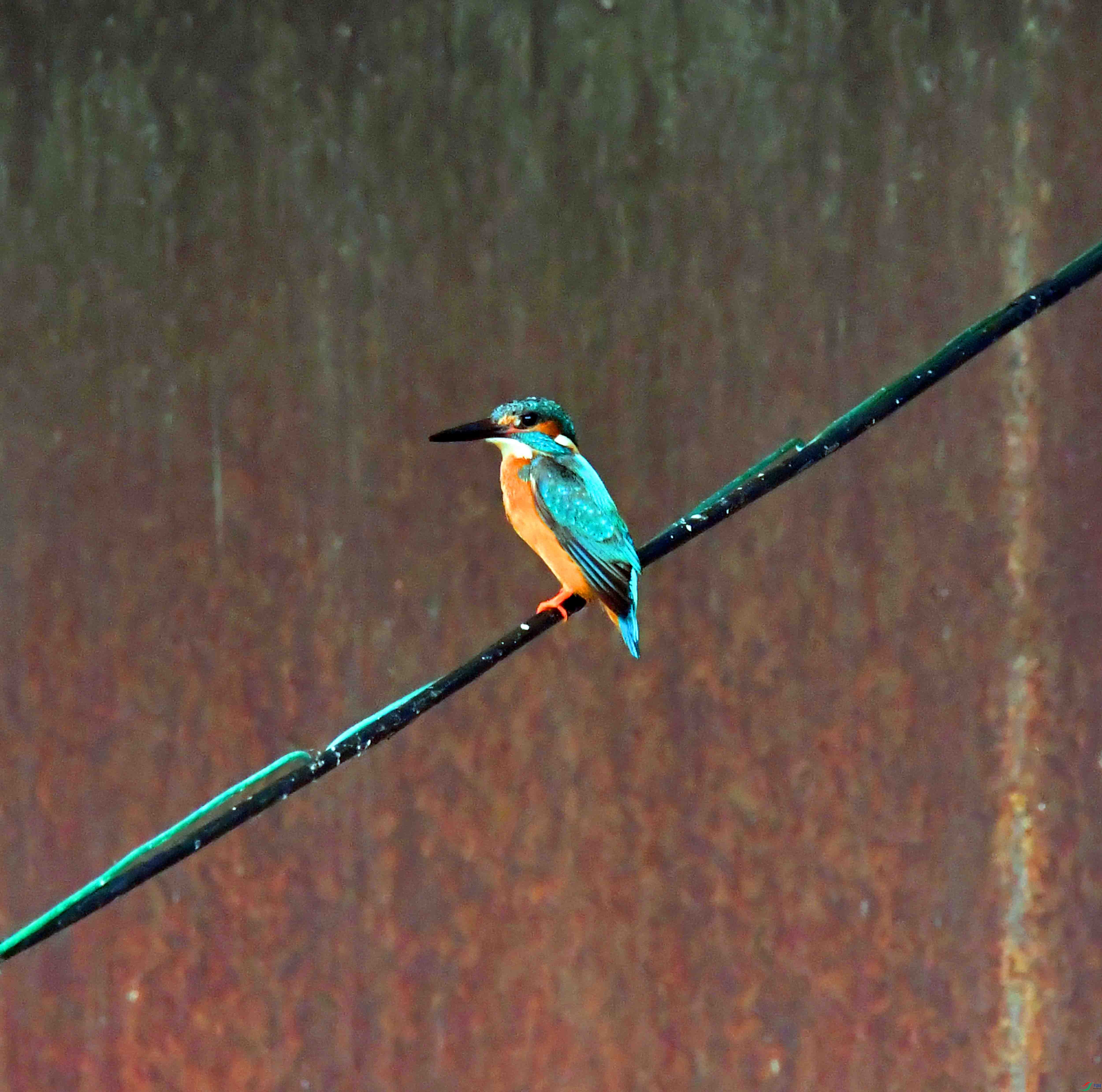 DSC_1551.JPG