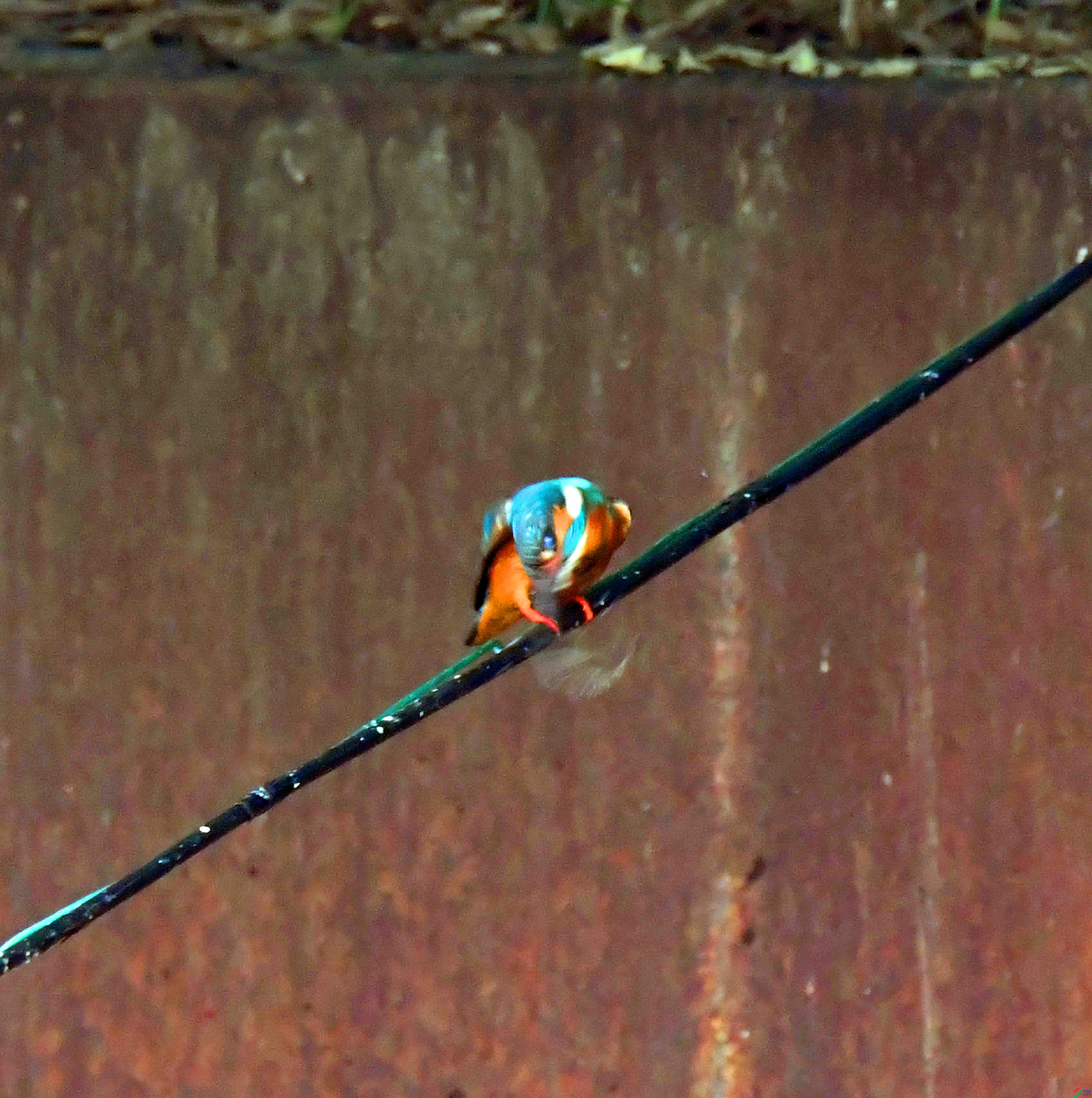 DSC_1560.JPG