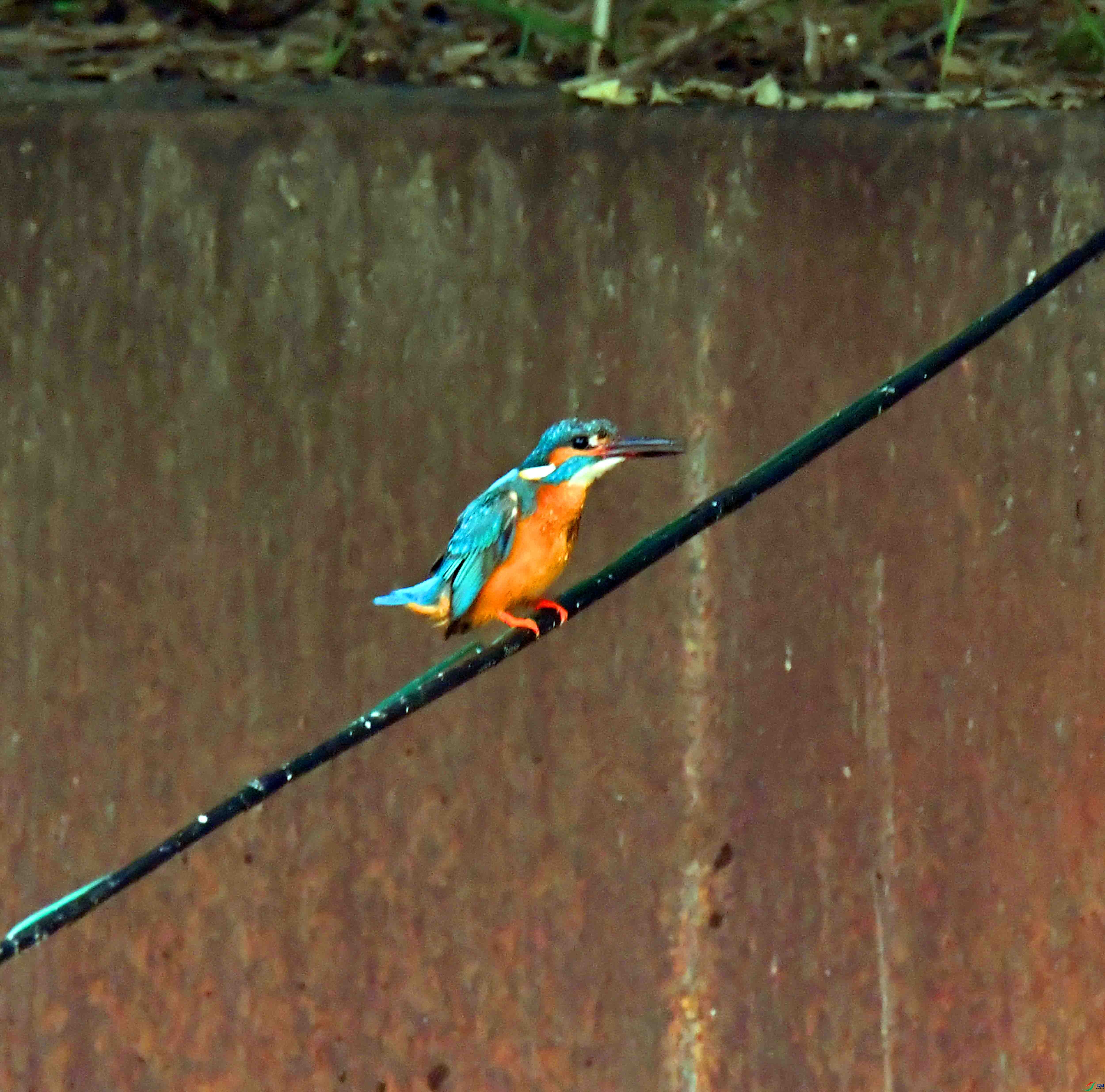 DSC_1565.JPG