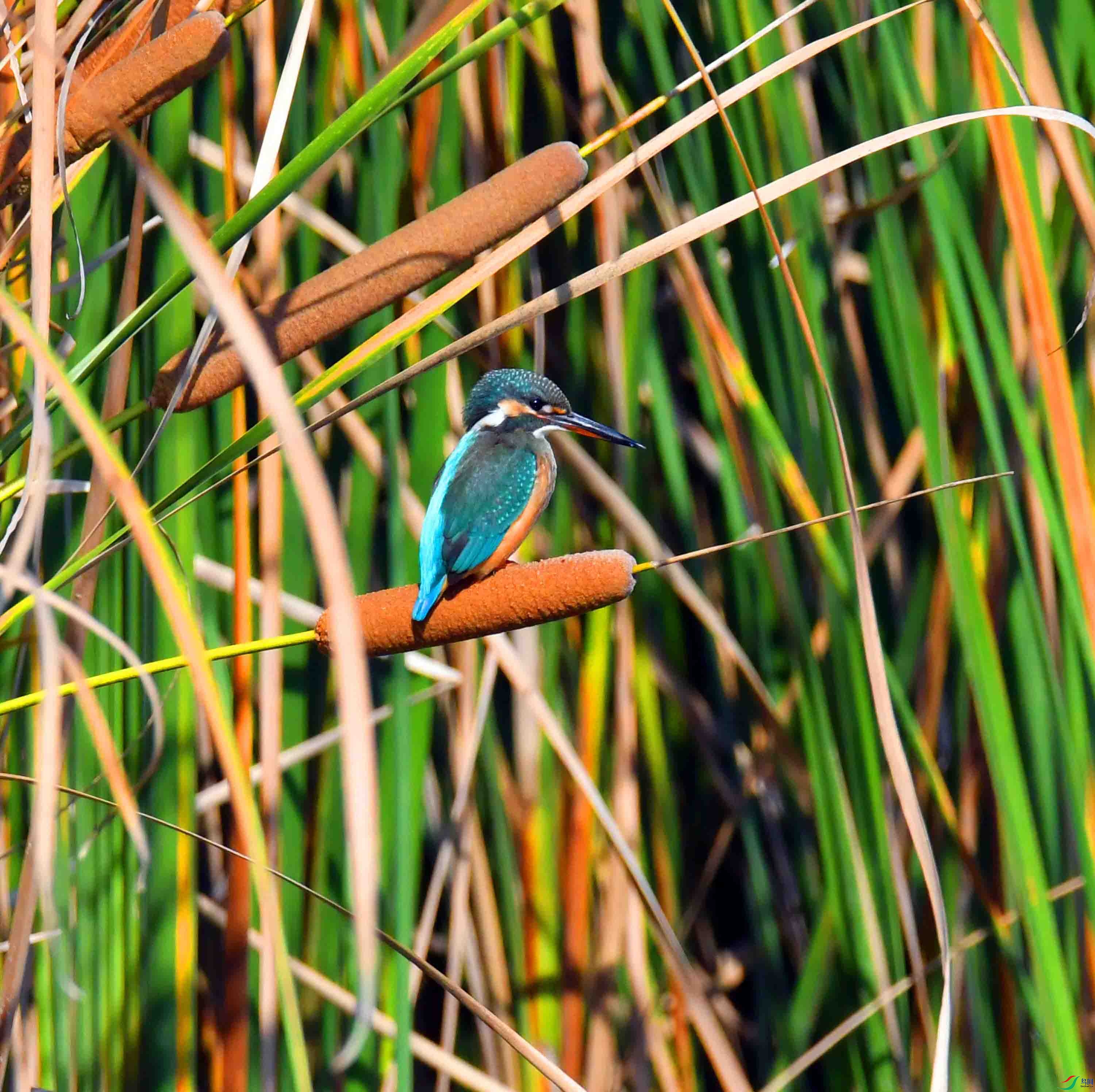 DSC_3045.JPG