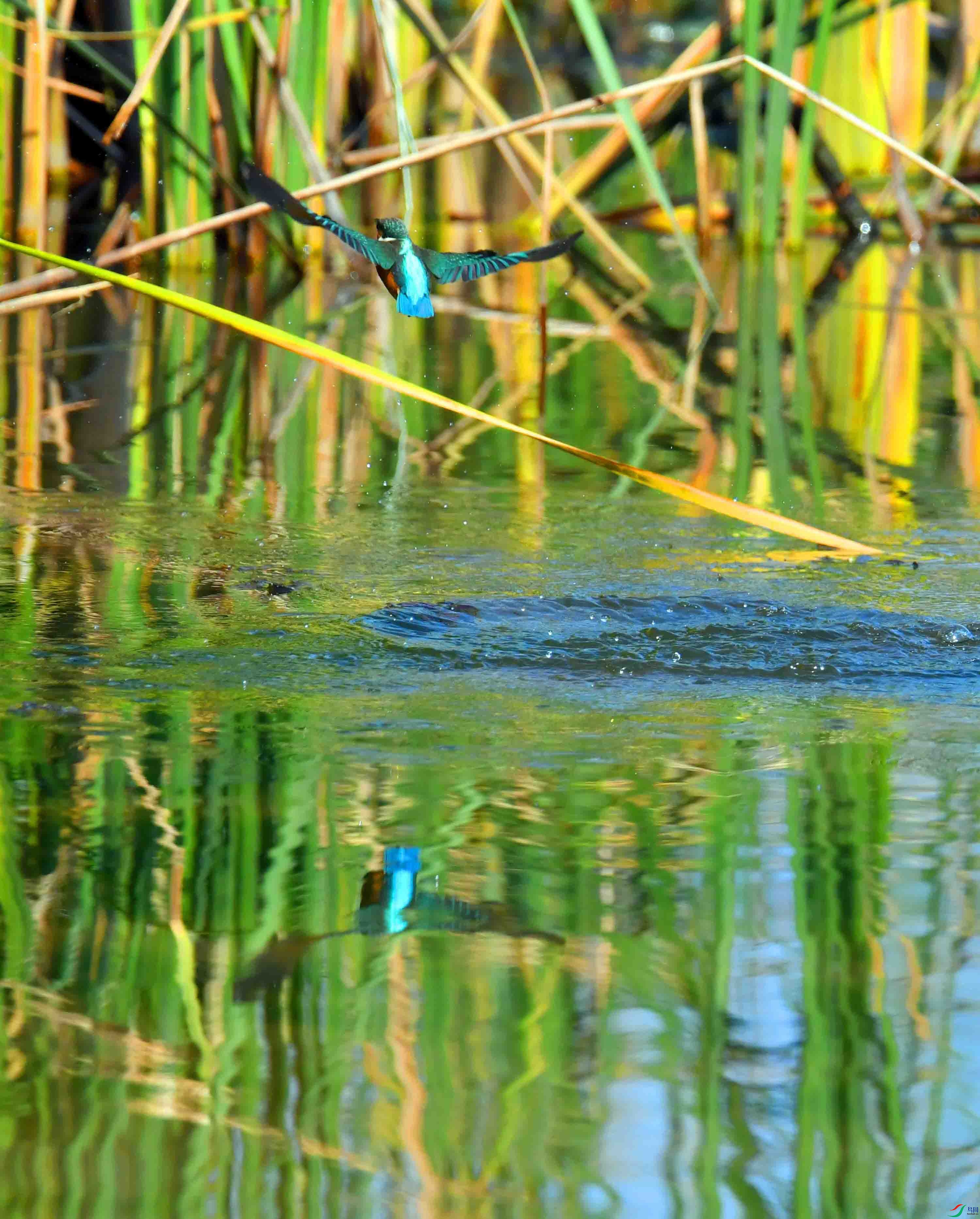 DSC_3052.JPG