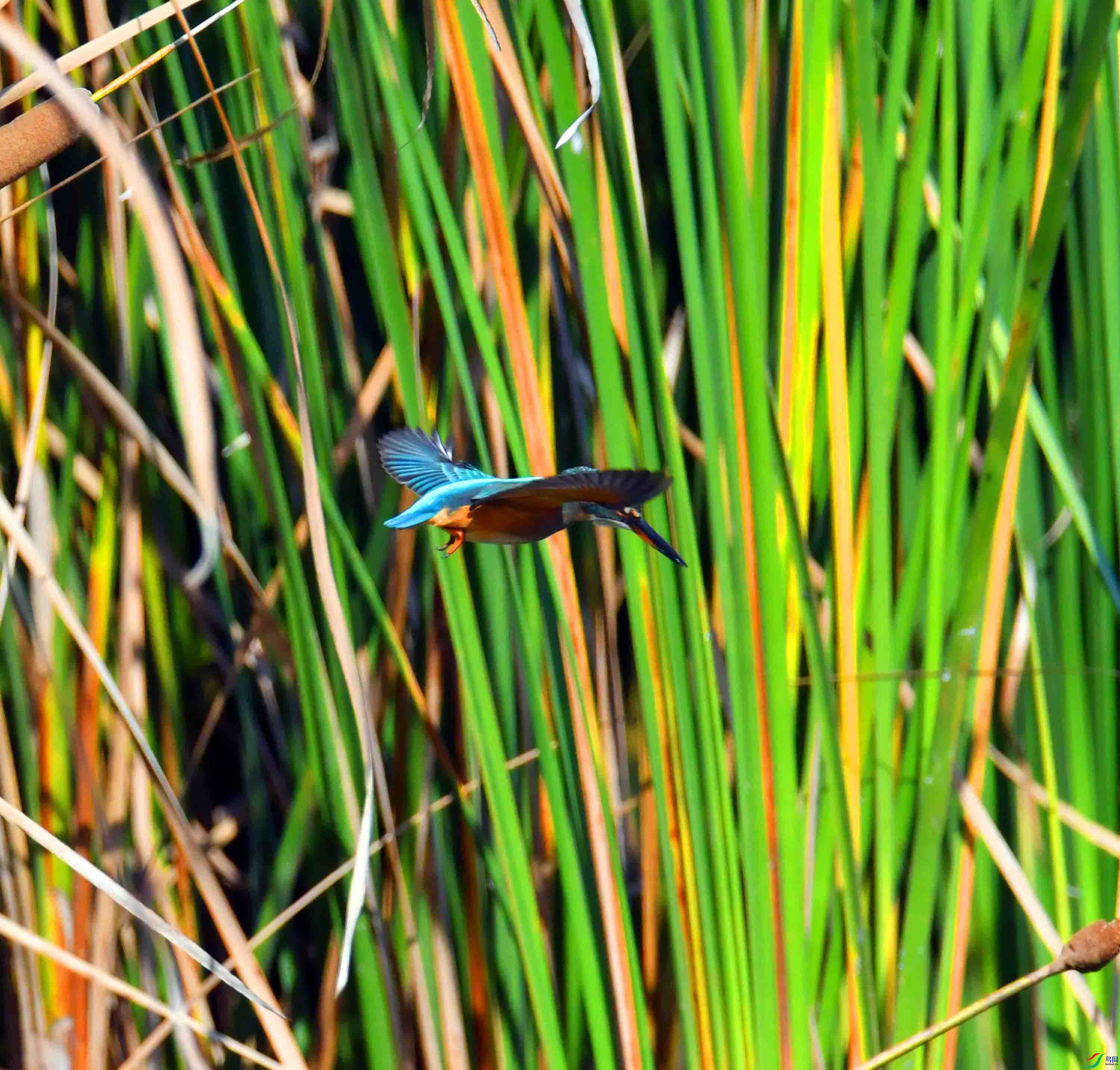 DSC_3048.JPG