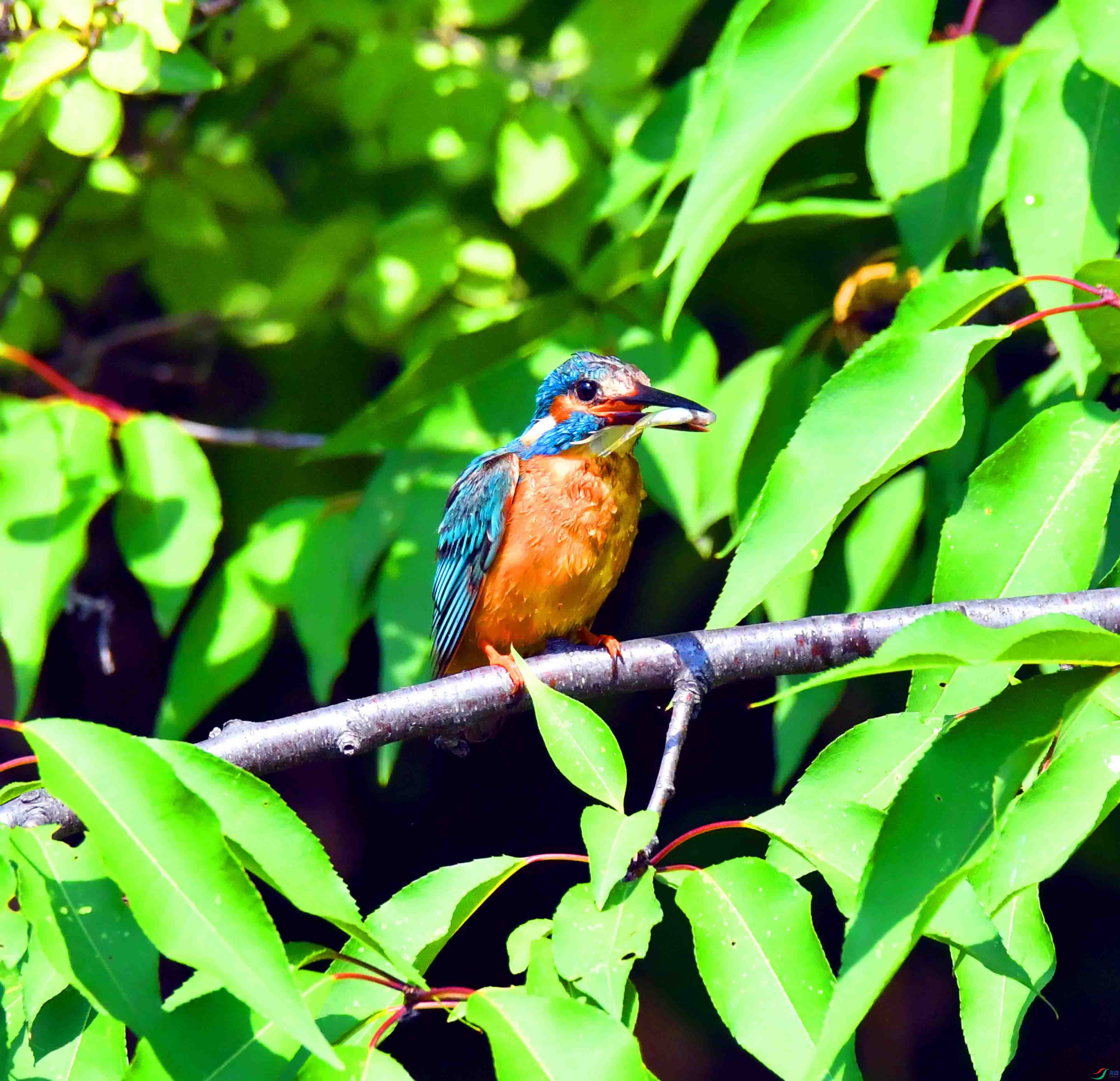 DSC_3787.JPG