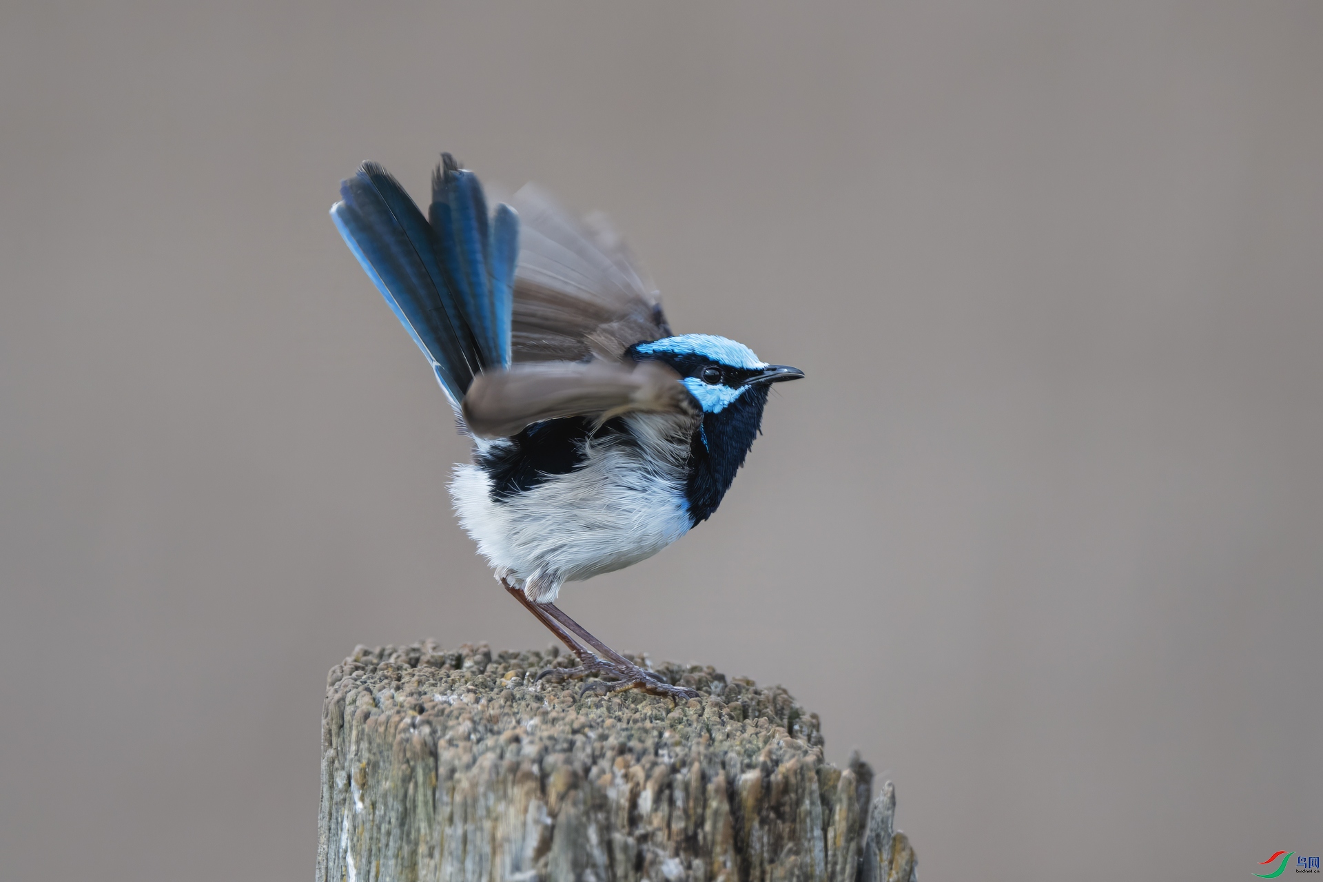 DSC_1813.jpg