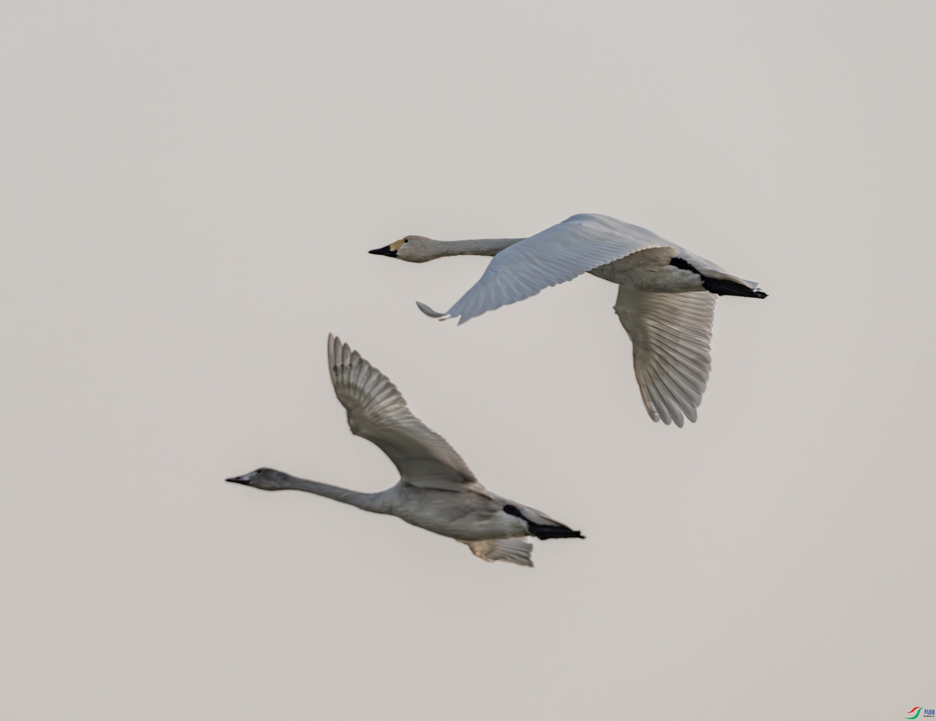 �����-03-1.jpg