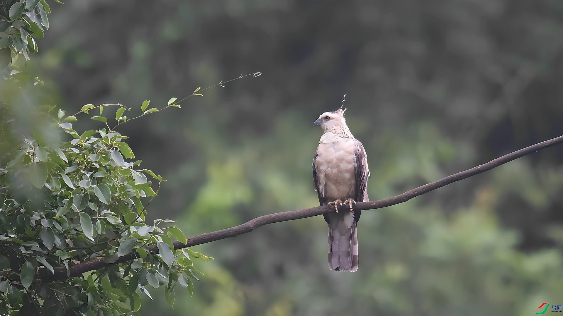DSC_1217_����.jpg