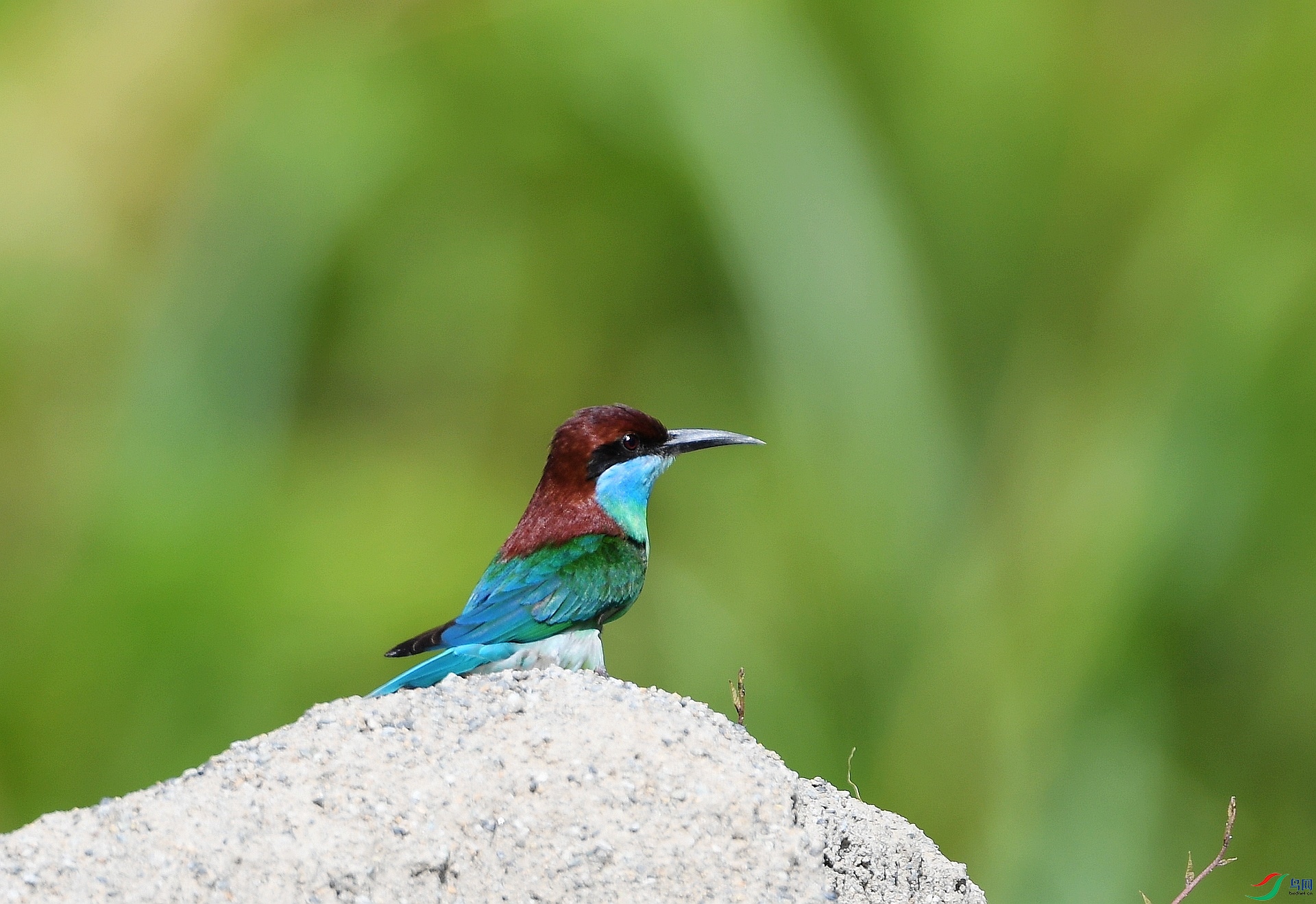 DSC_6150.jpg