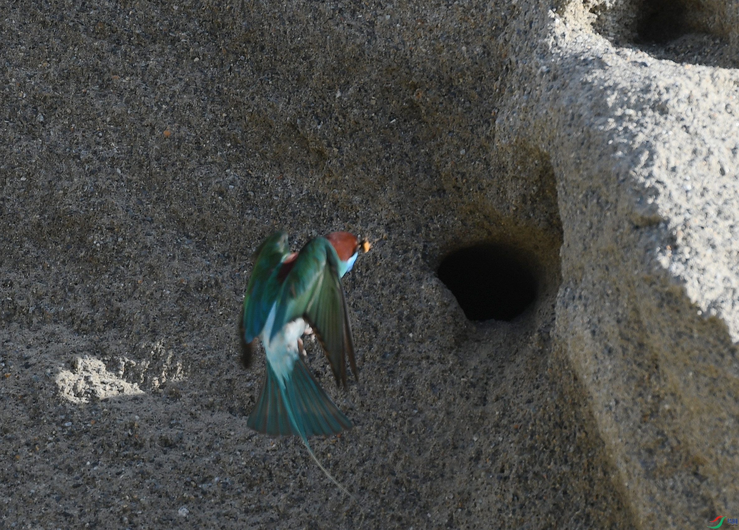 DSC_5413.jpg