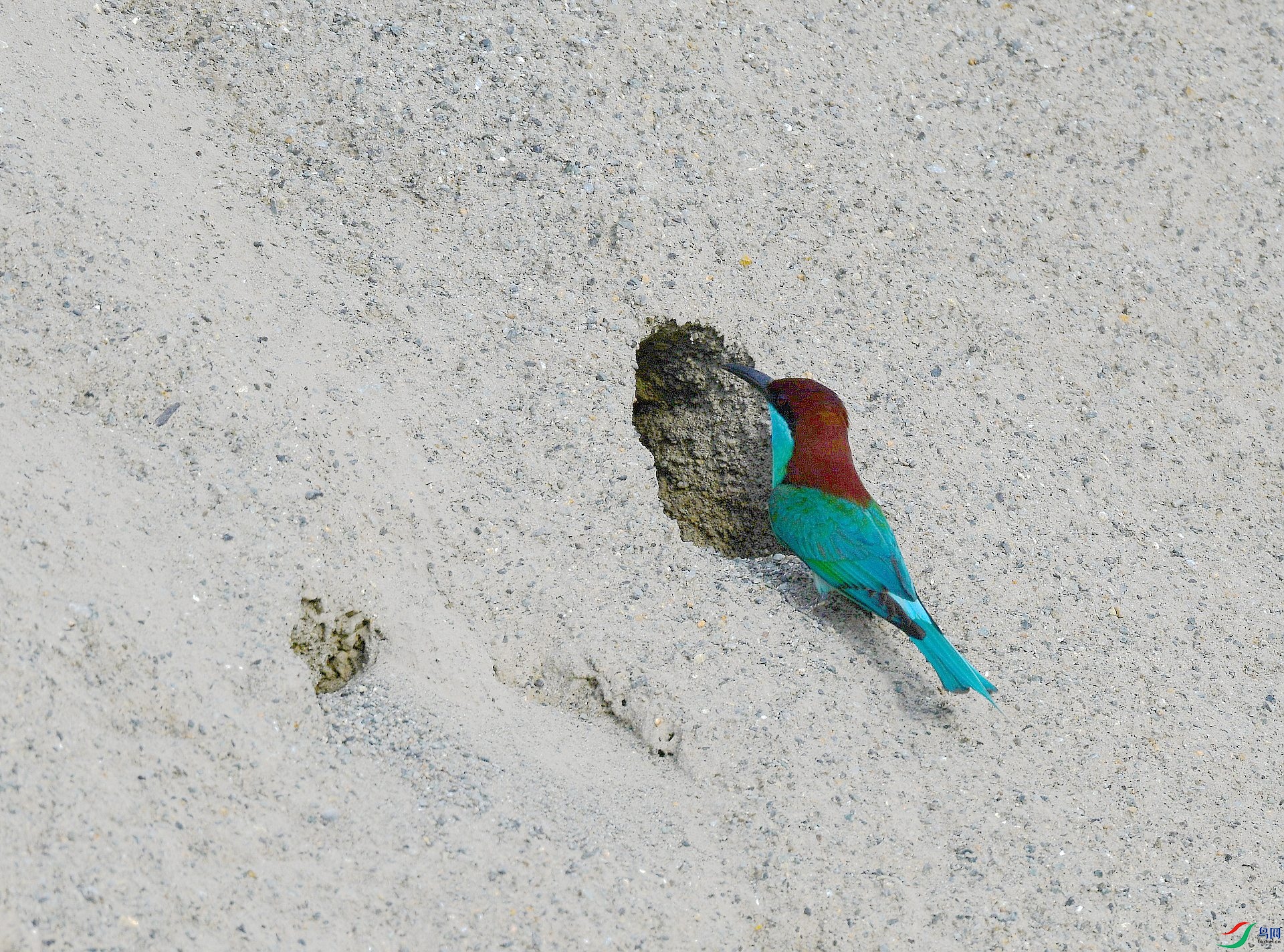 DSC_5401.jpg
