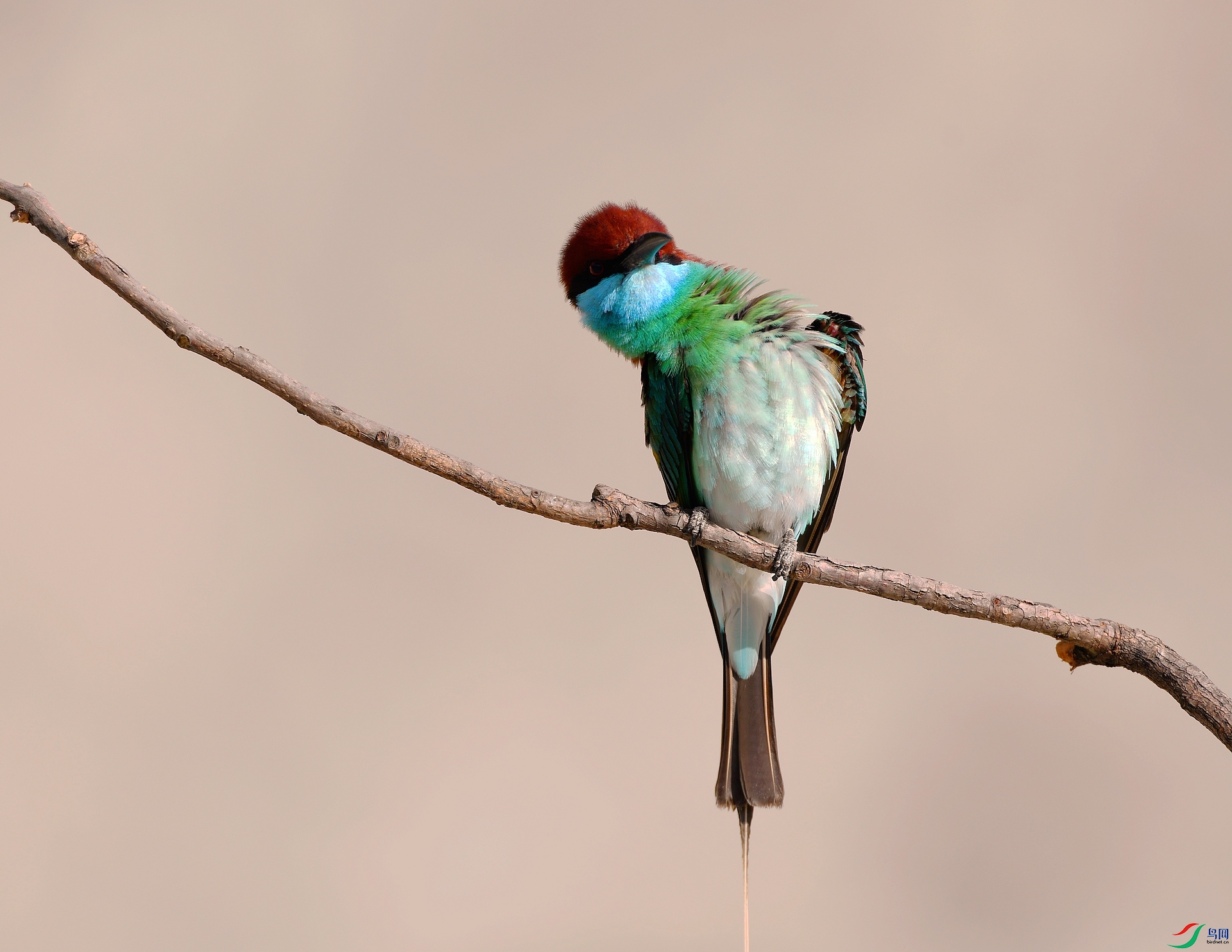 DSC_5843.jpg