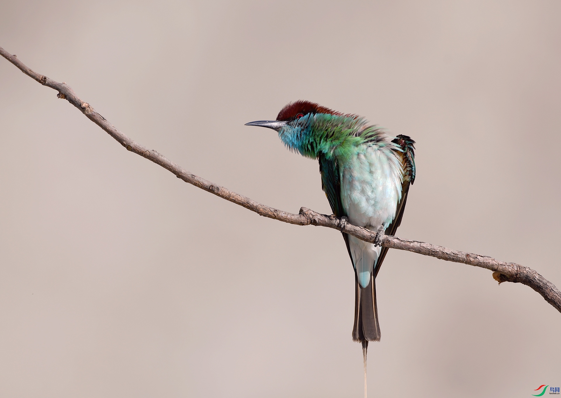 DSC_5842.jpg