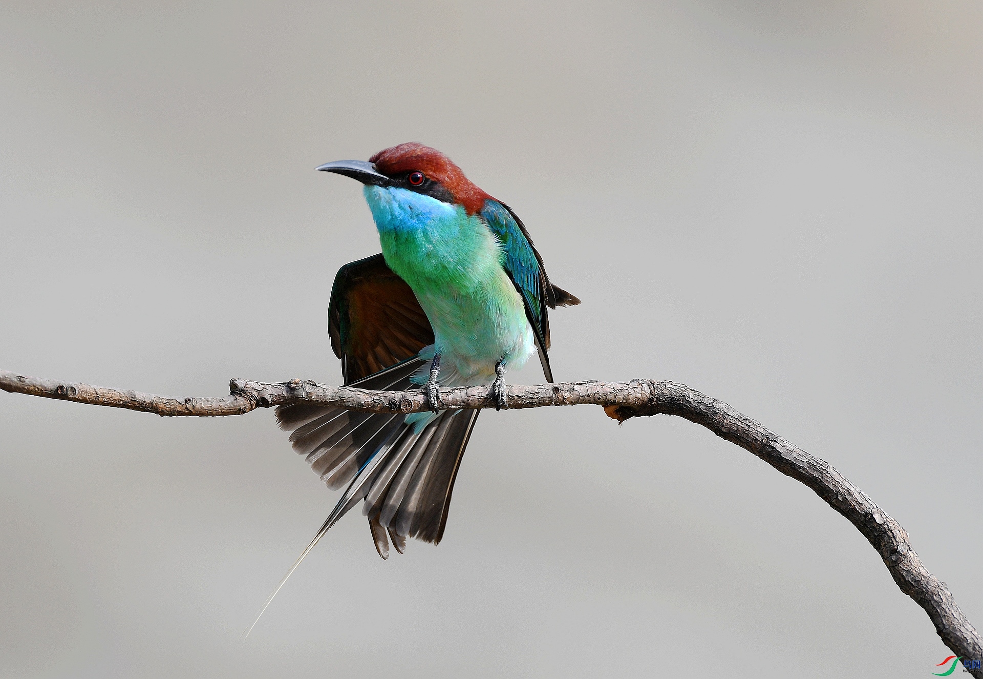 DSC_3318.jpg