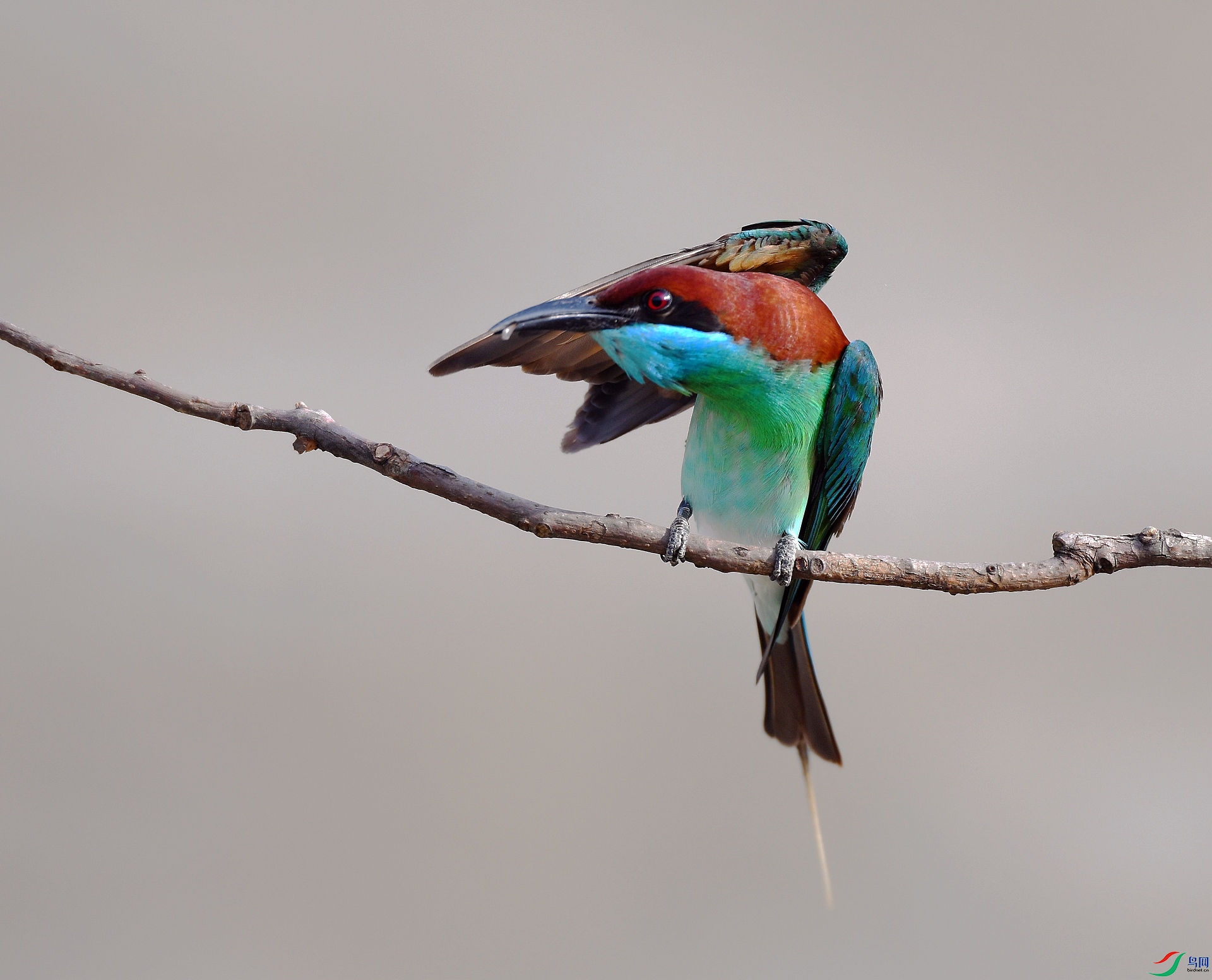 DSC_3011.jpg